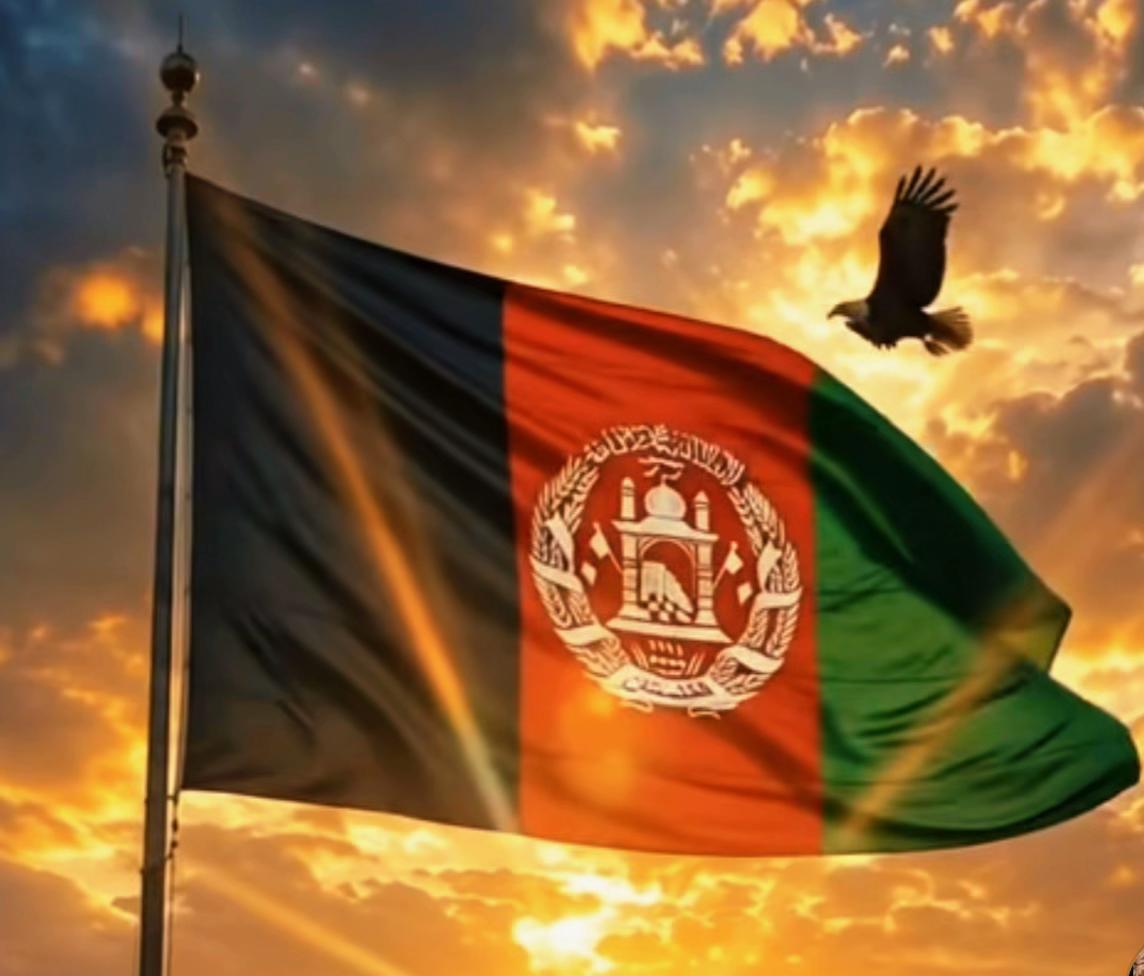 @Sediqullah 🇦🇫🇬🇧