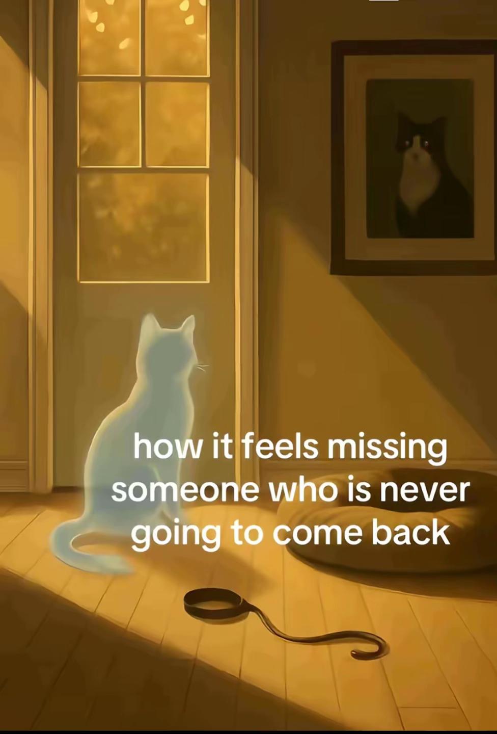 @BlackcatWhispers