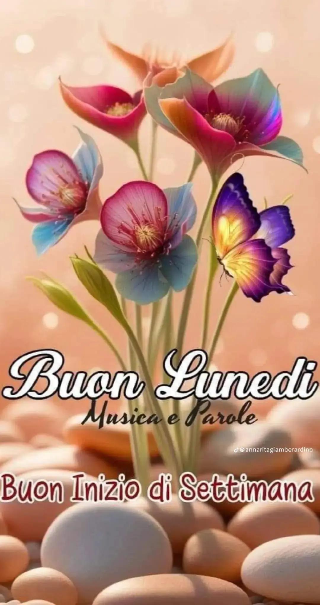 @Lucia Faggioli