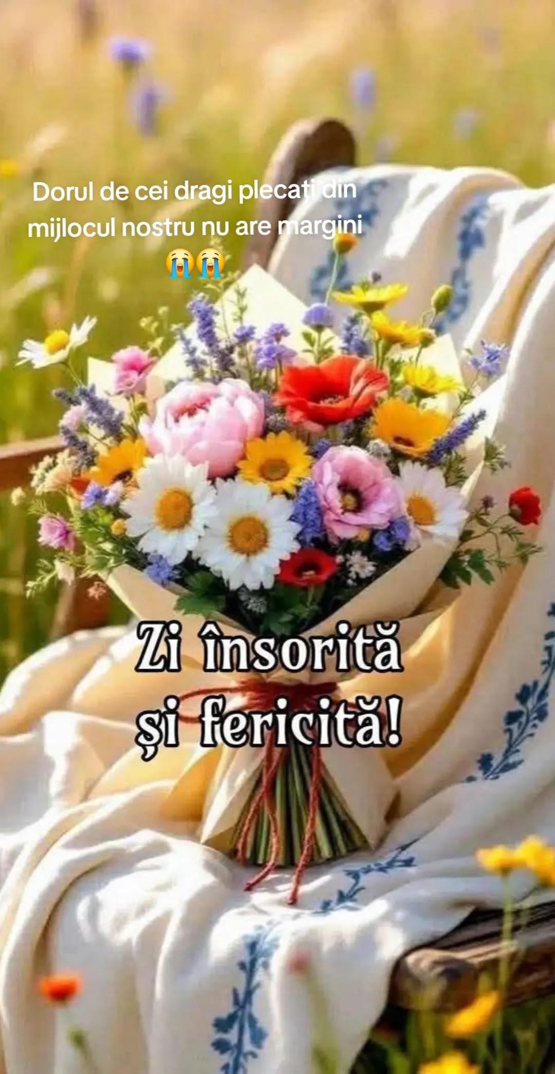 @nicoletavoicila13