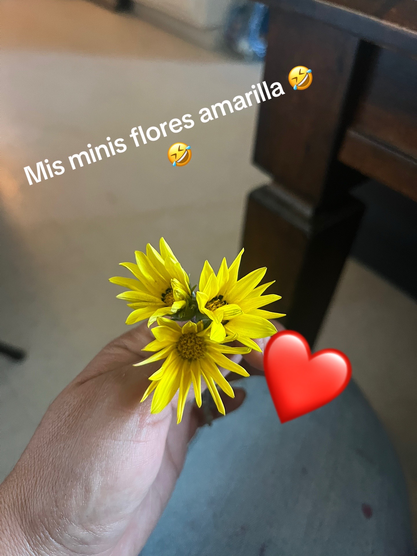 @Lupita 😘😘