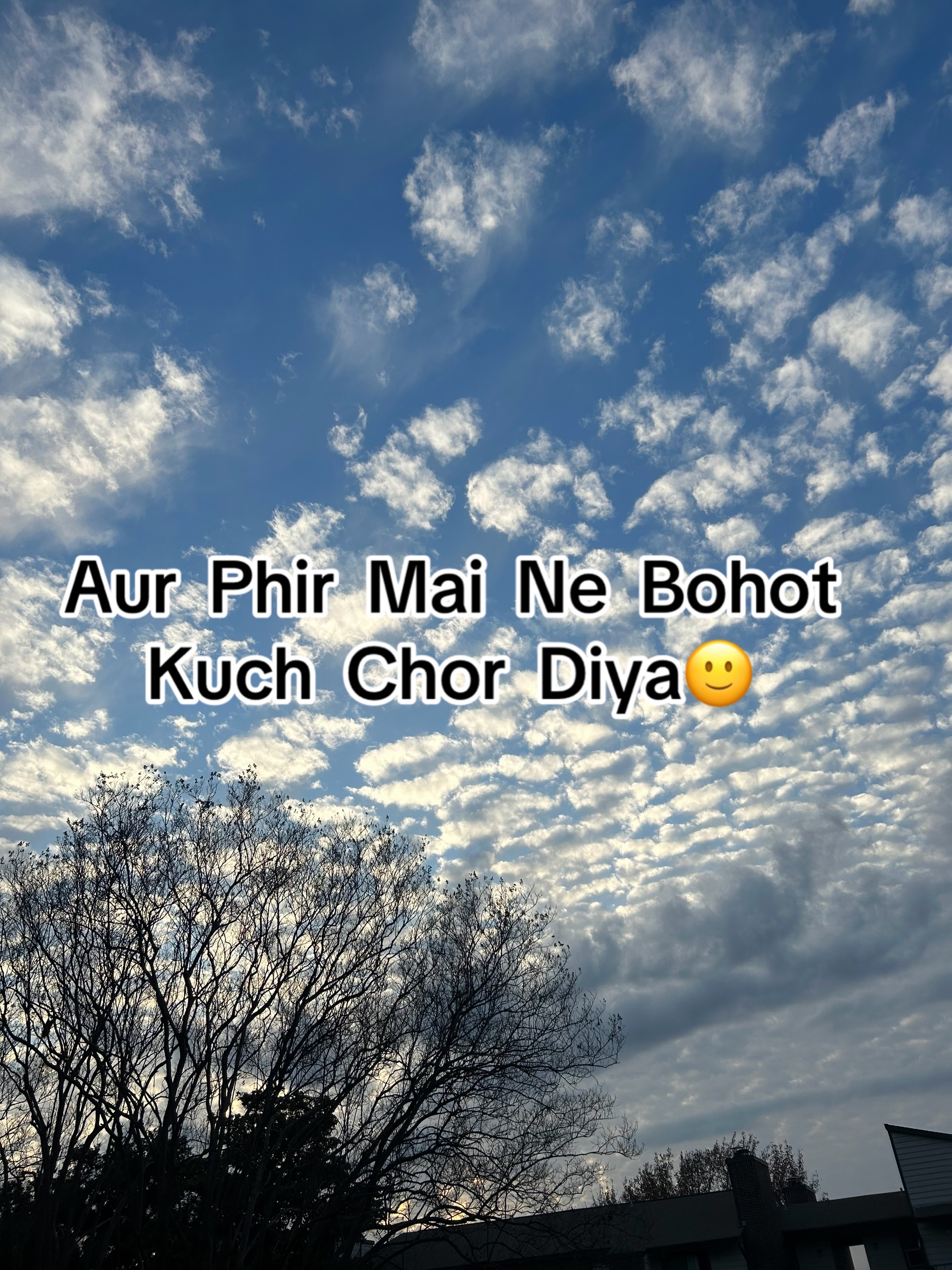 @ZaraHayat020104