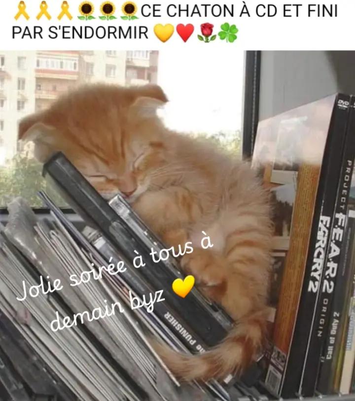 @gilet jaune 57