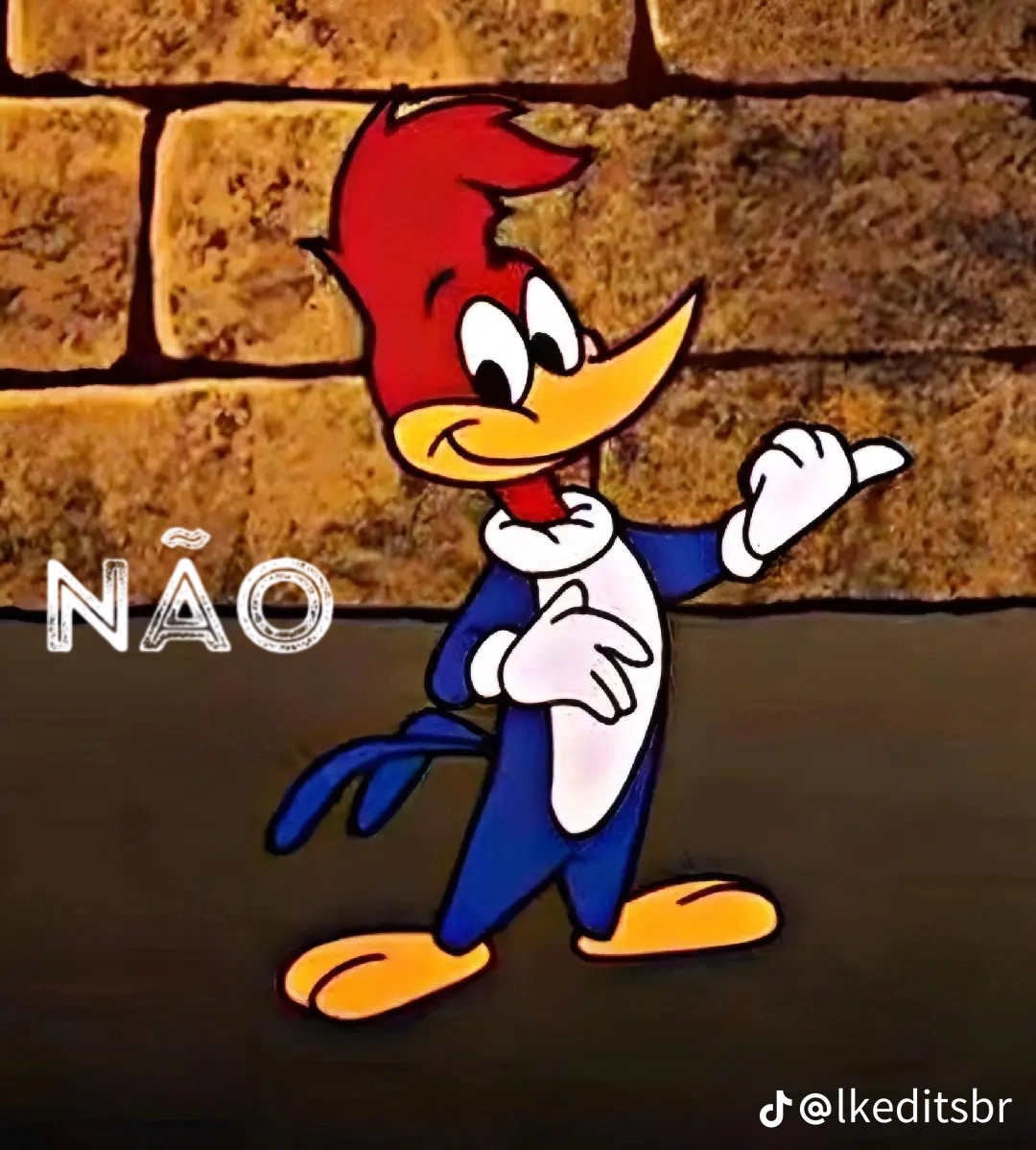 @mauricio debortoli