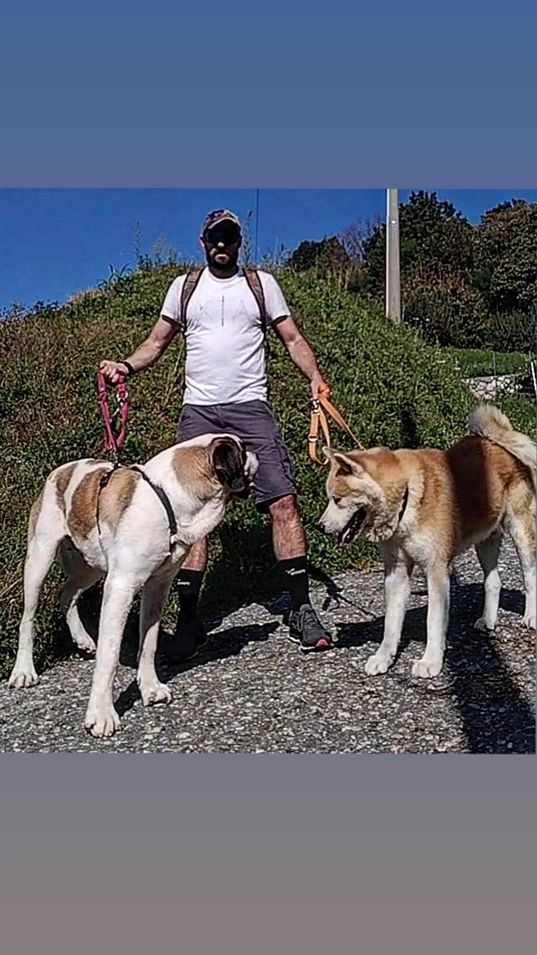 @Federico Montrasi