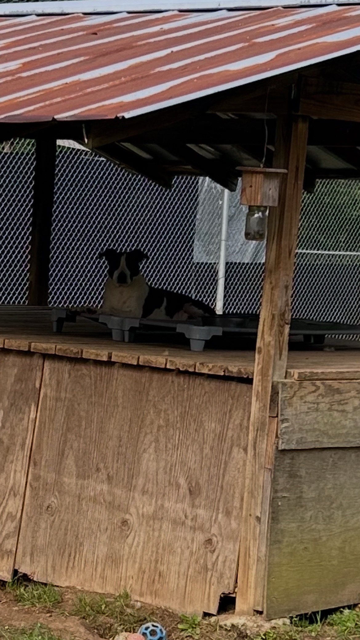 @Cedarhill Animal Sanctuary