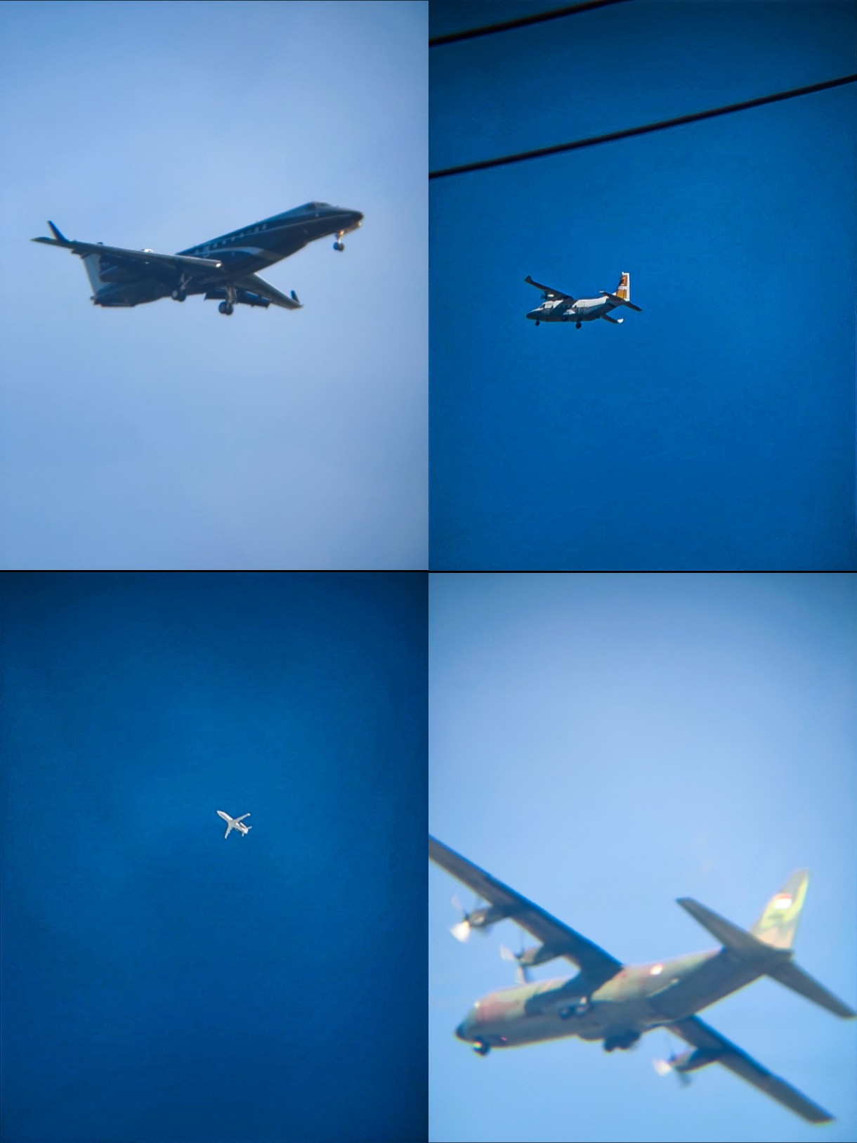 @TT-3114🇮🇩🦈