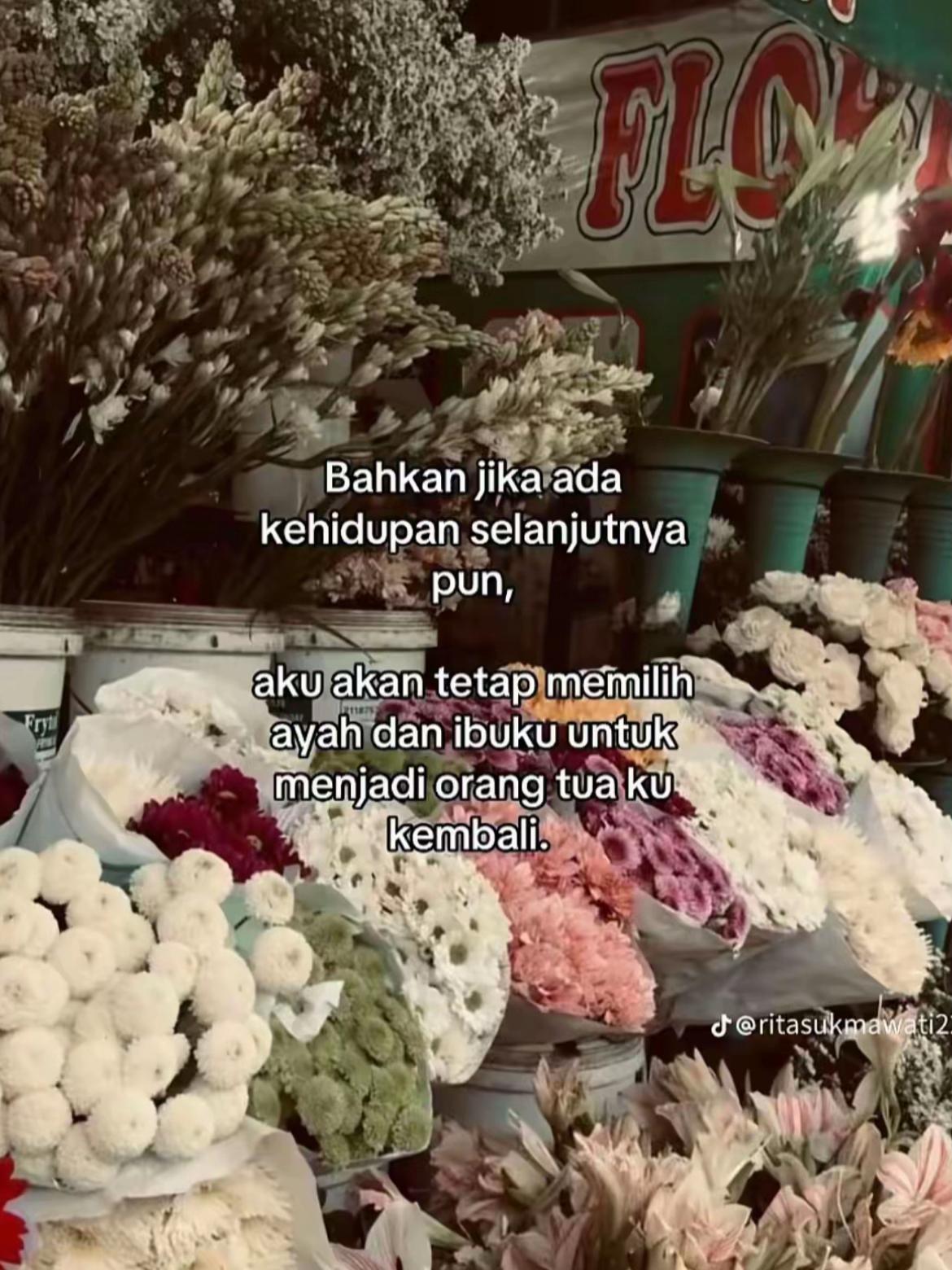 @ayunicandradewii