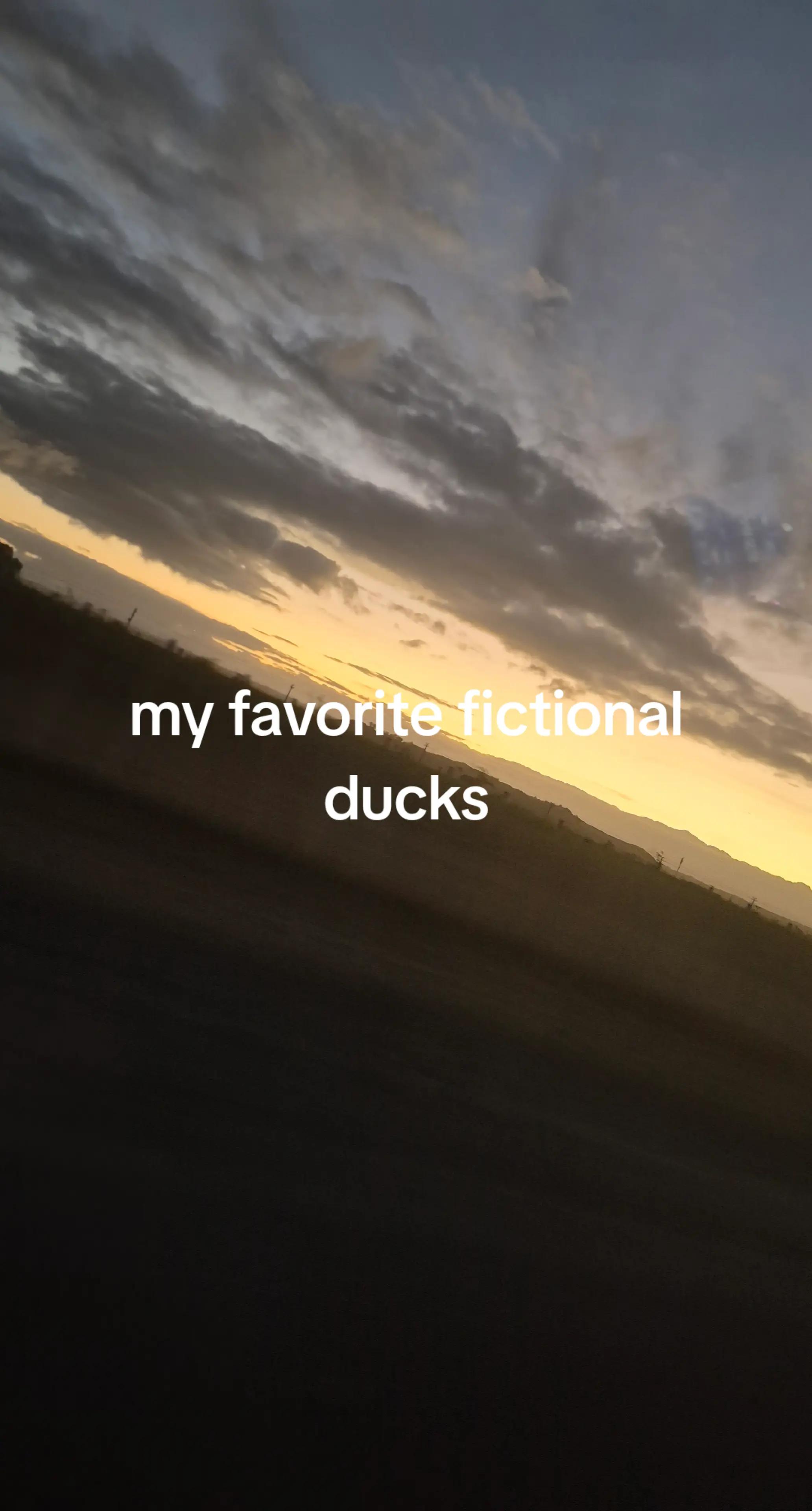 @aidanmccance
