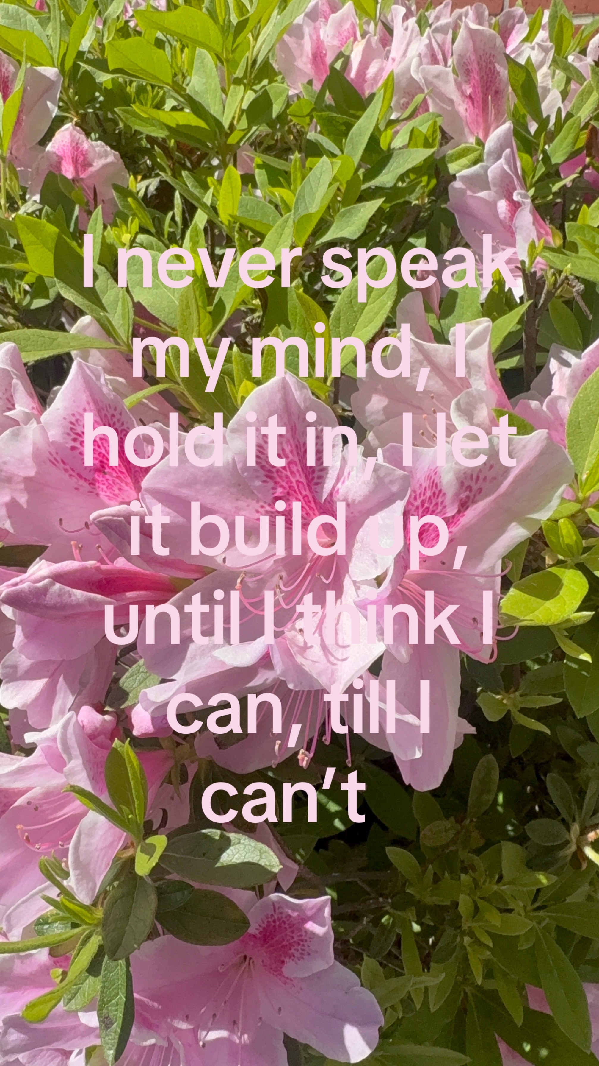 @𝓣ꨄ︎