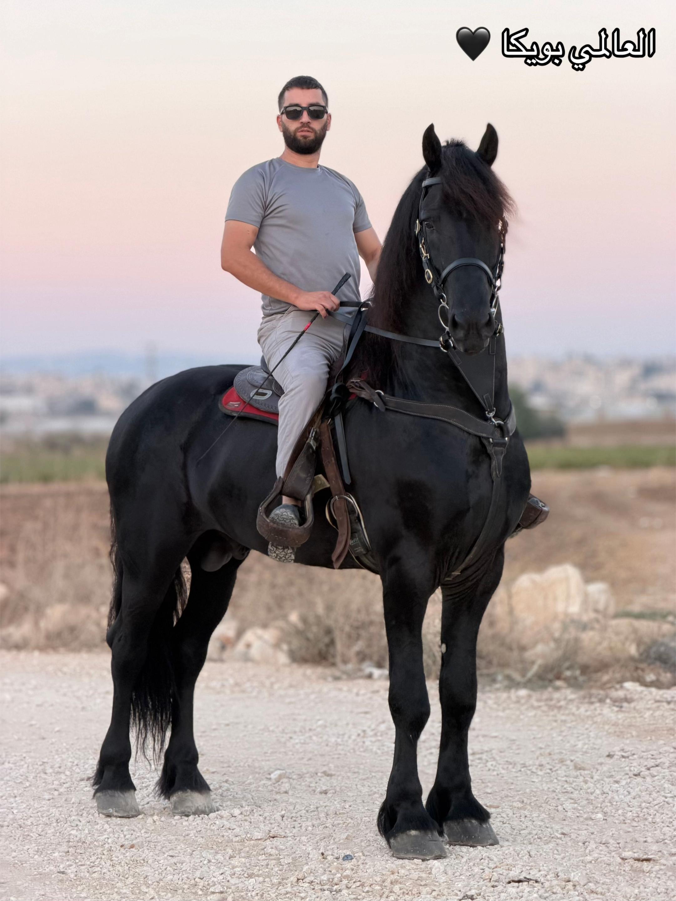 @المحاسب ياسر ابو بكر