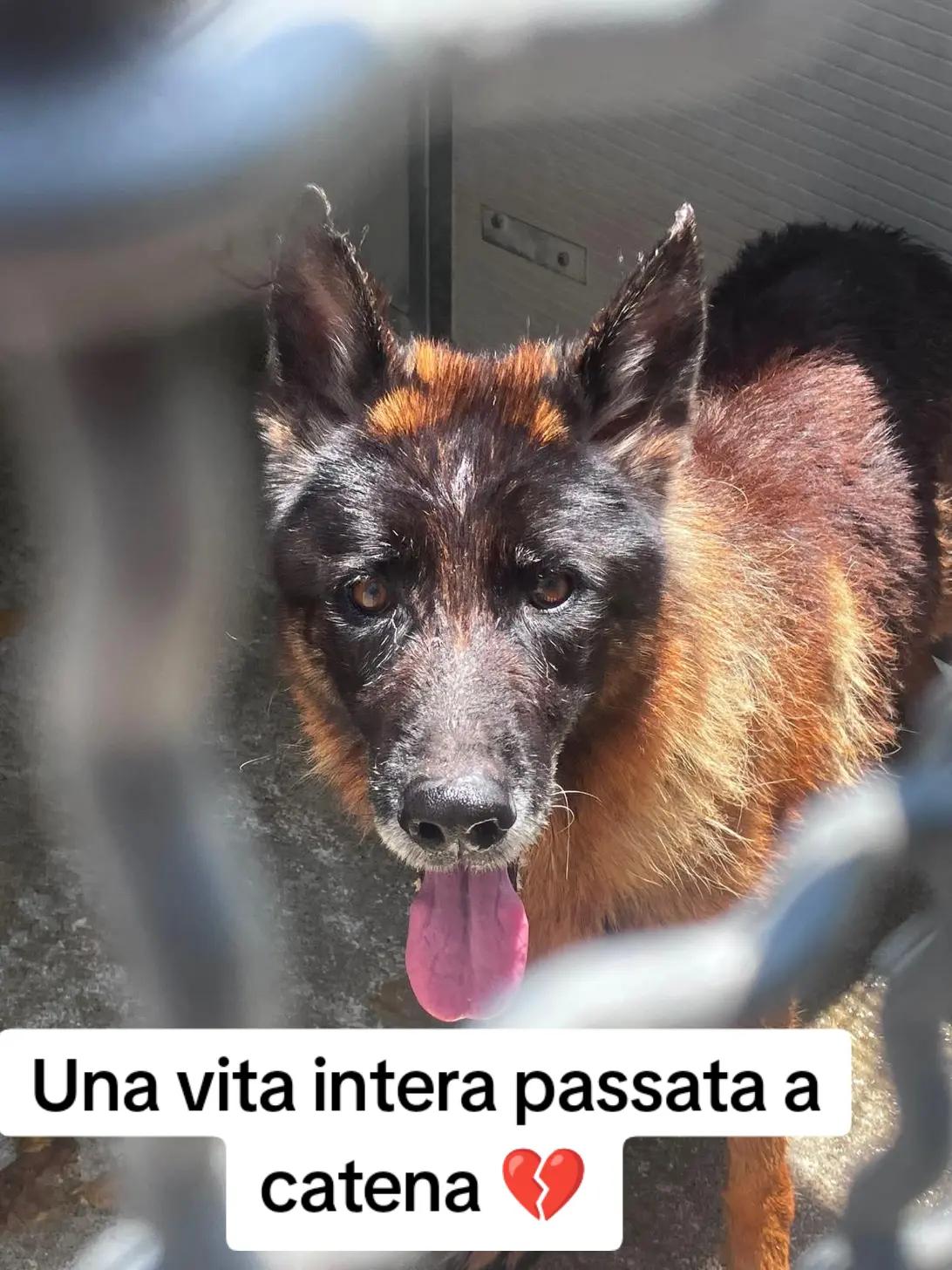 @Pina Rossignuolo