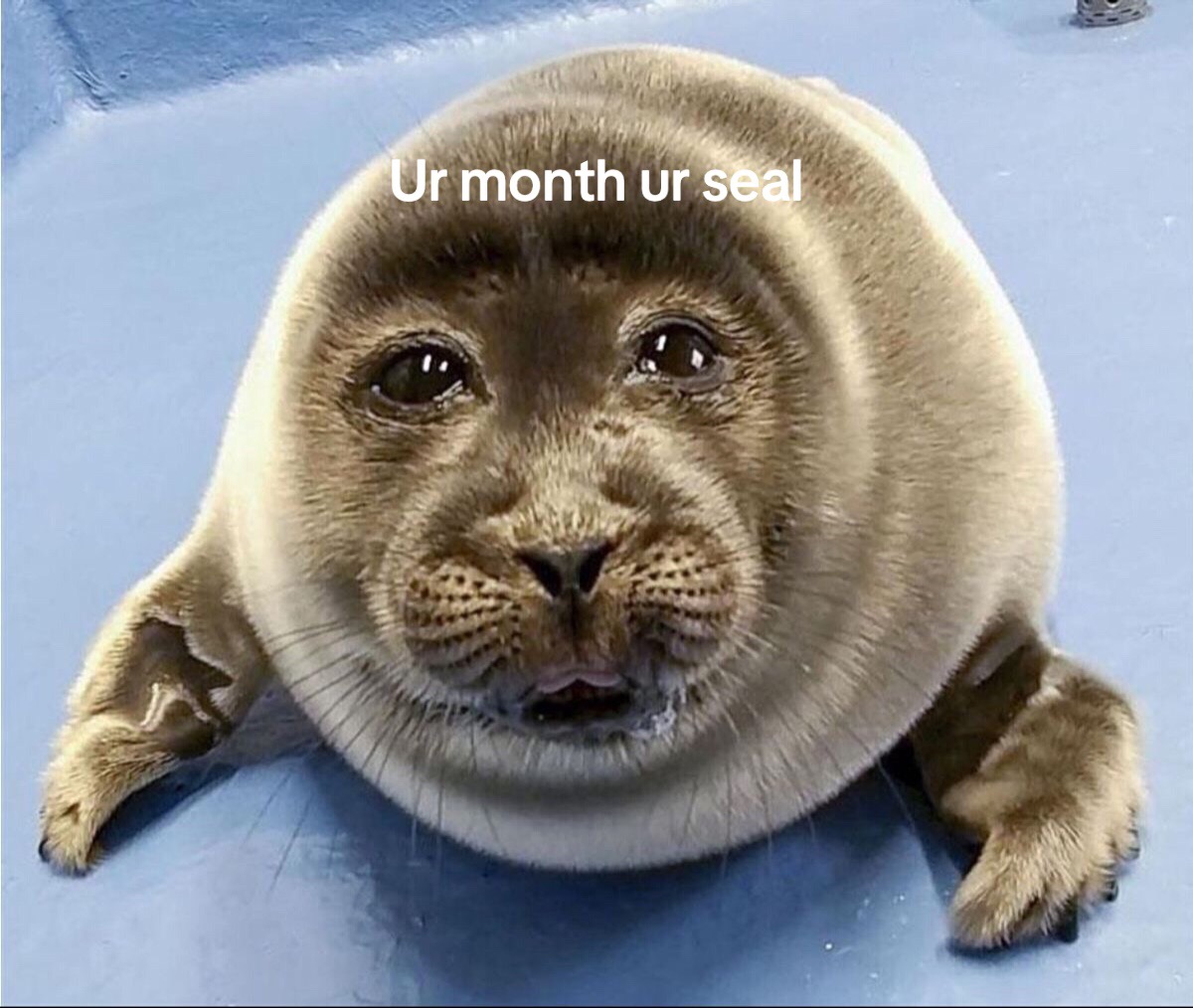 @Isa