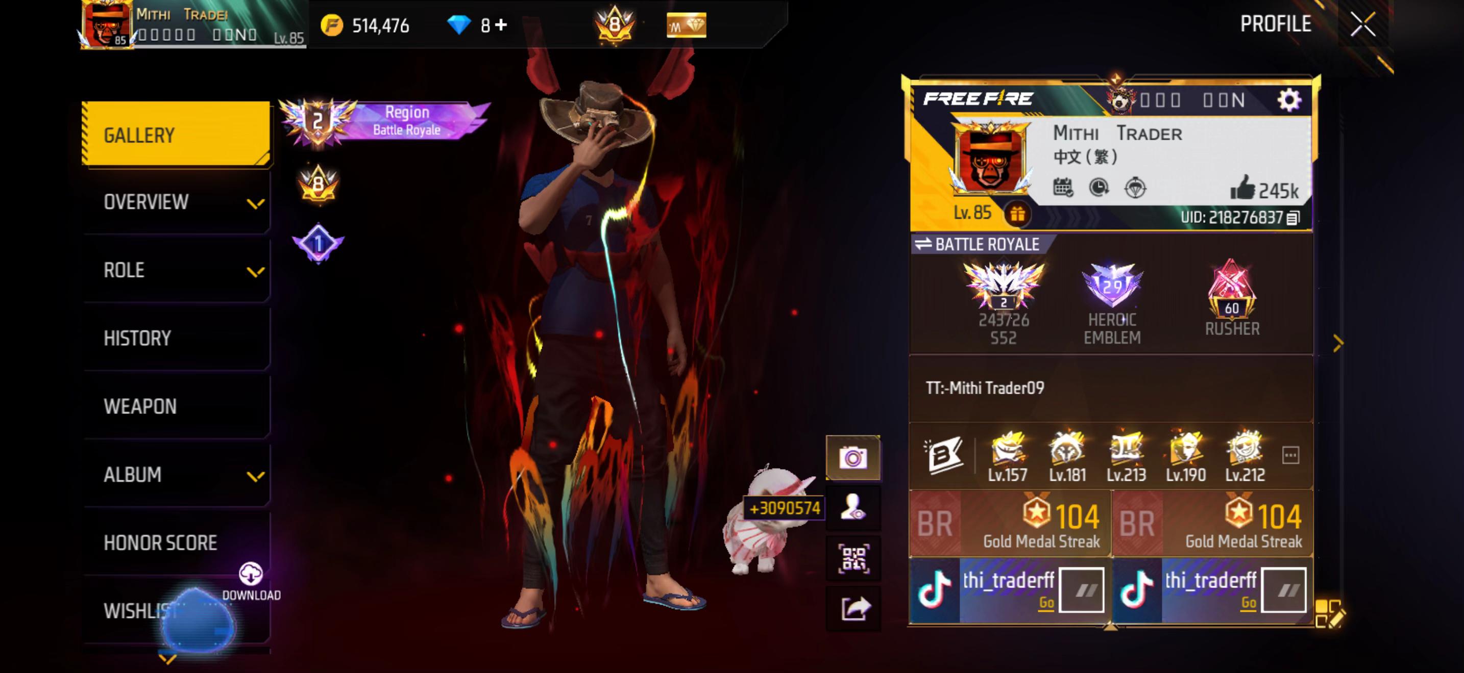 @MITHI TRADER X GAMER