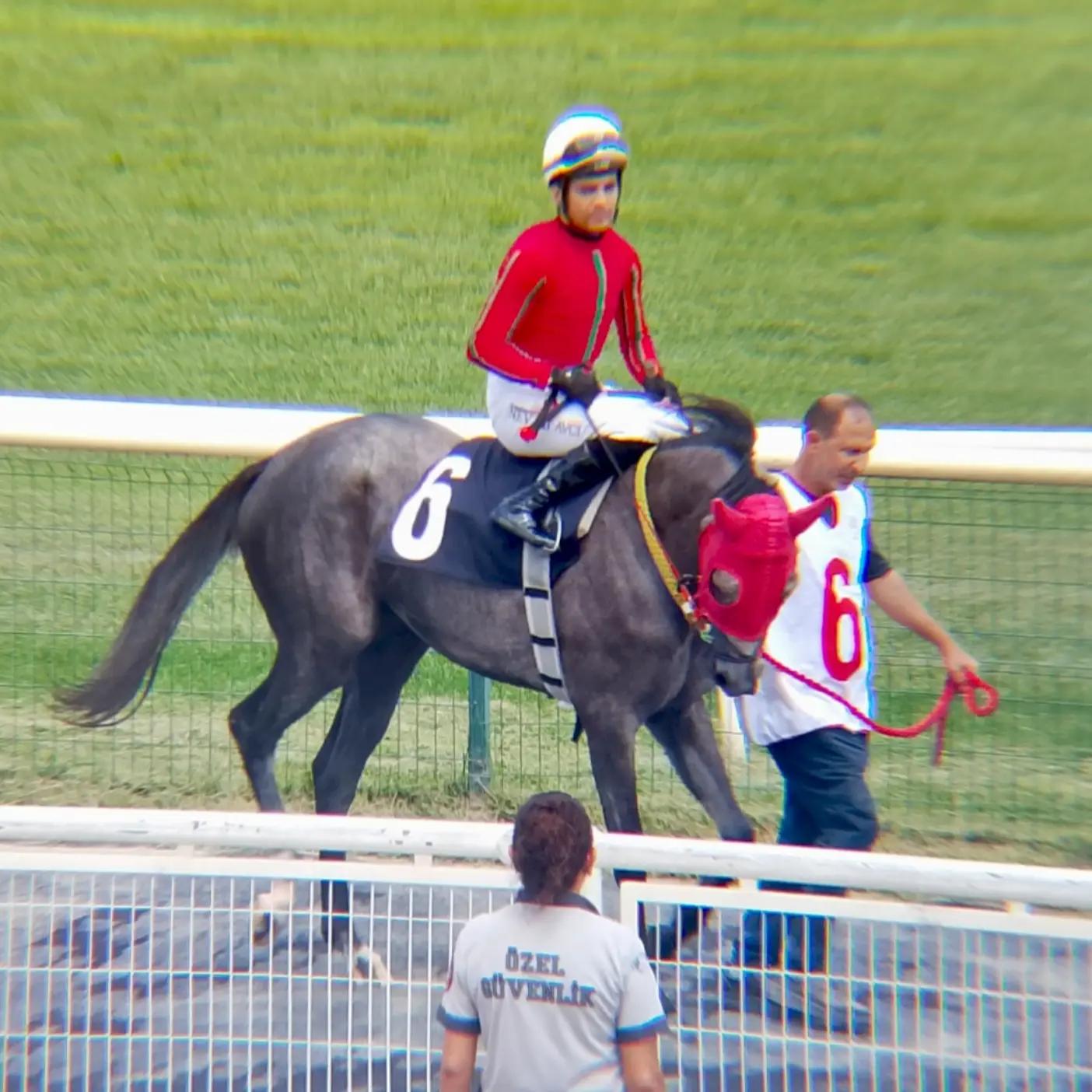 @brs horse racing