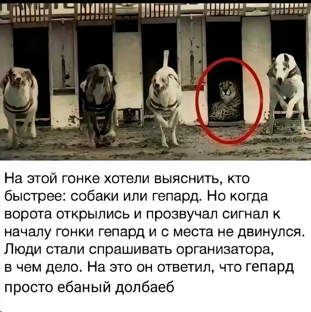 @ваш друг