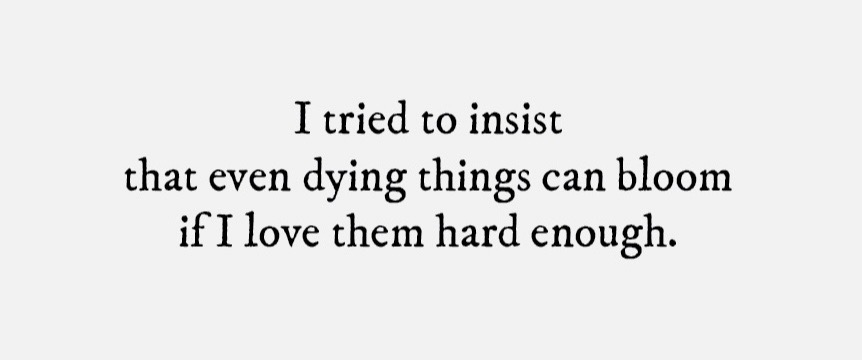@lyra wren