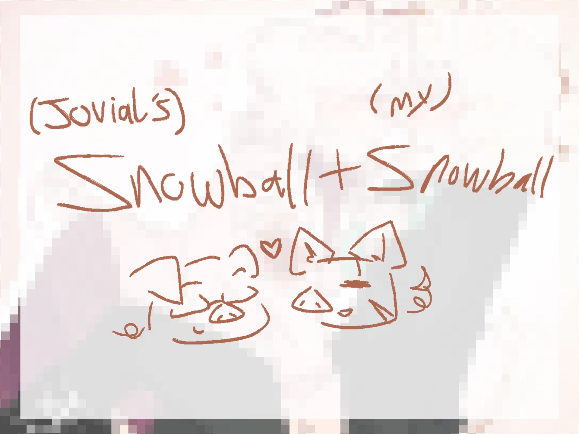 @Snowball ₍ᐢ･⚇･ᐢ₎