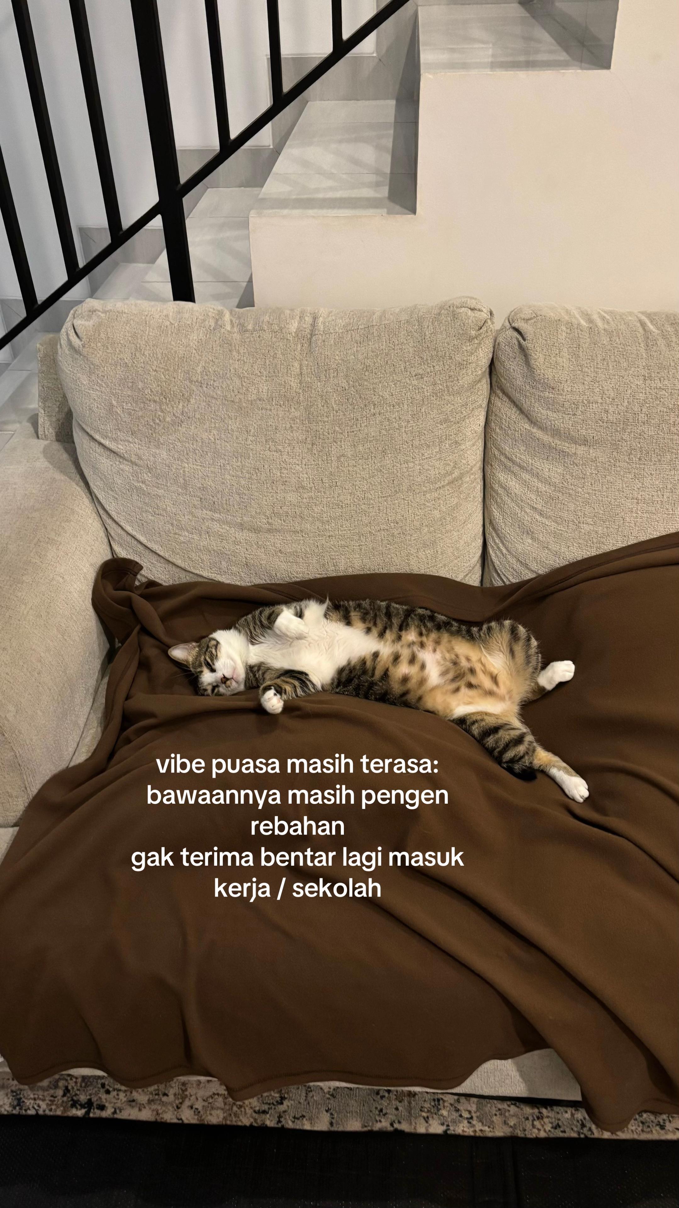 @OxaliStore