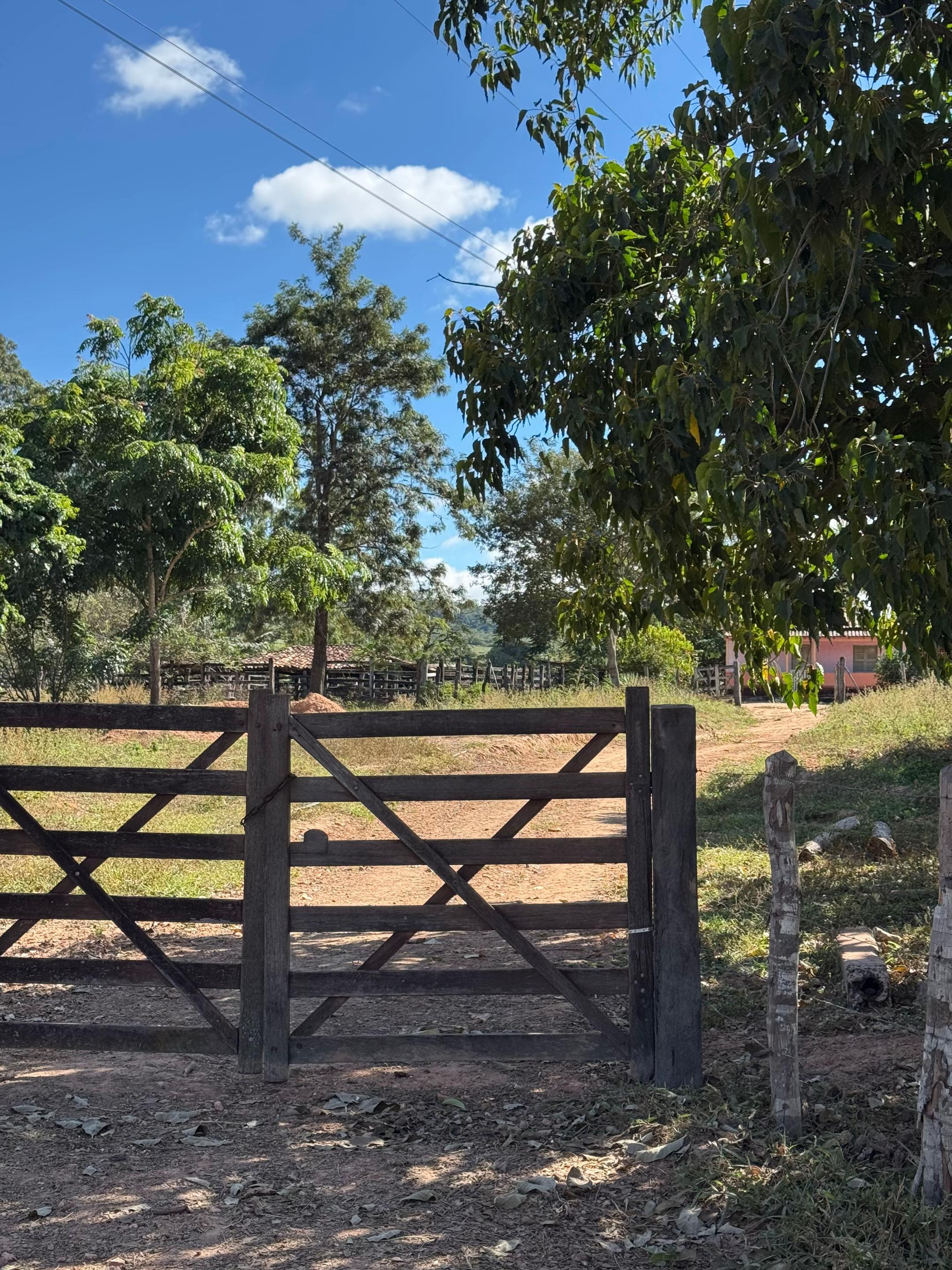 @Jailton dos Anjos 🤠