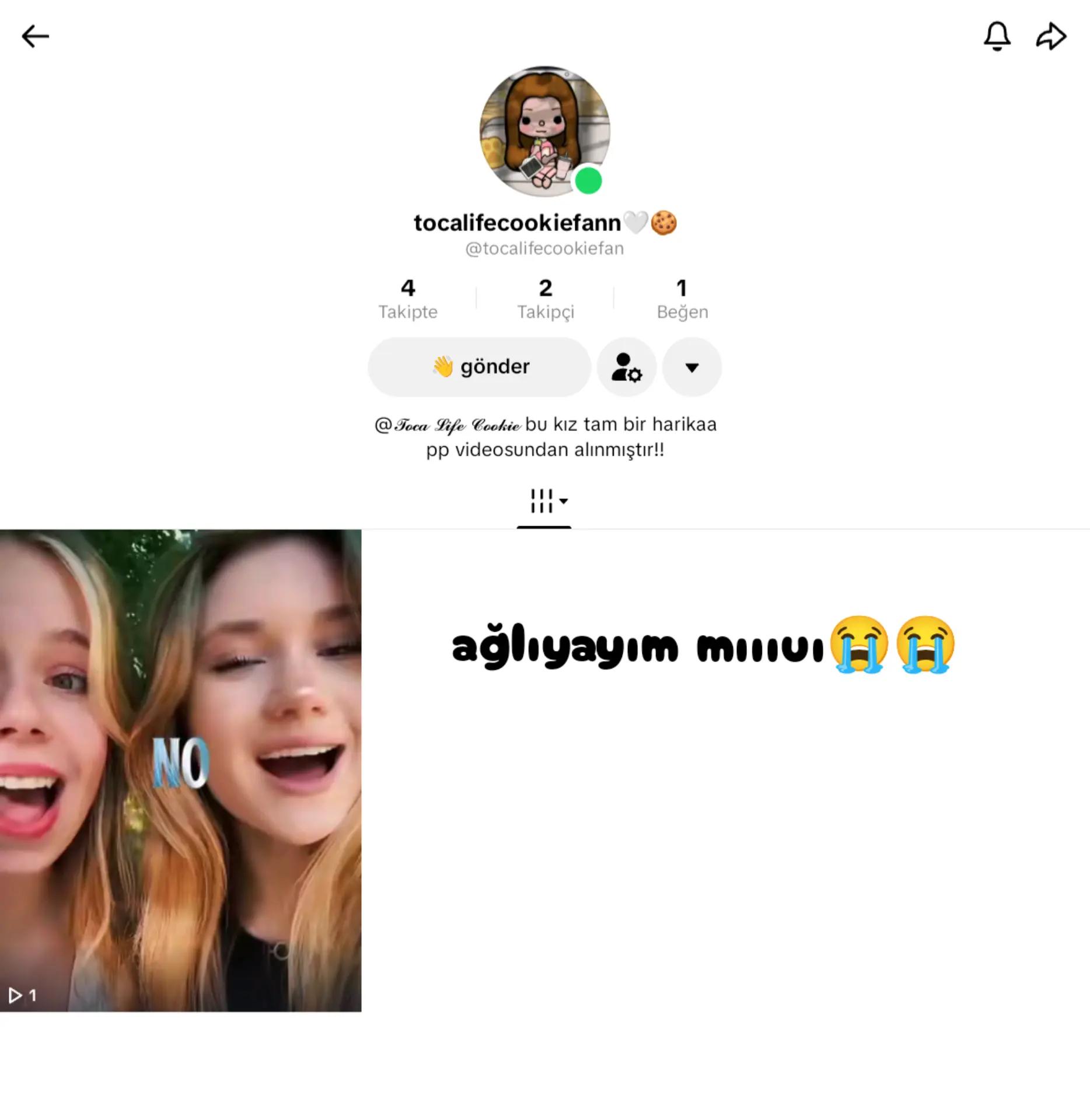 @𝓣𝓸𝓬𝓪 𝓛𝓲𝓯𝓮 𝓒𝓸𝓸𝓴𝓲𝓮