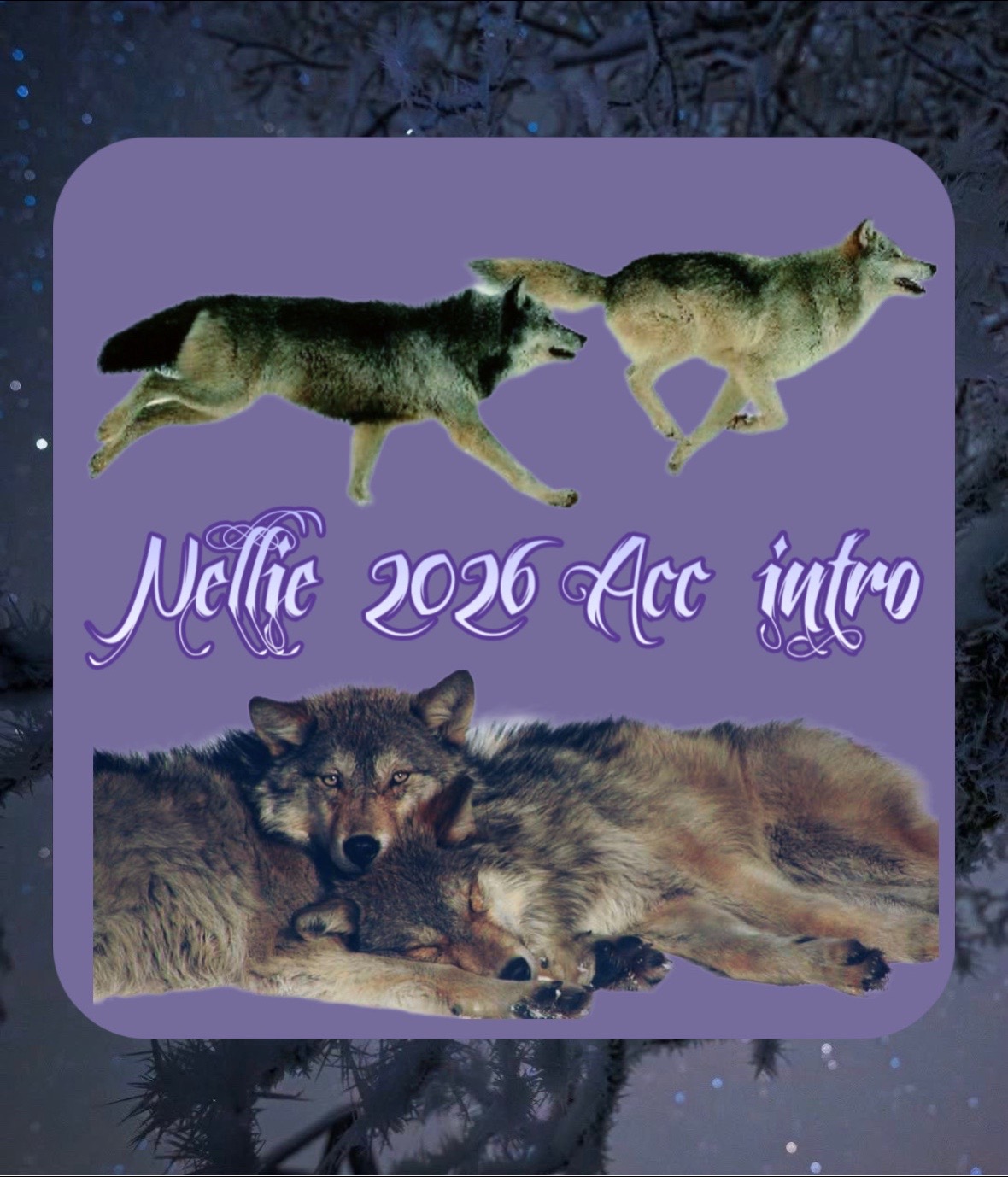@vellgawolf