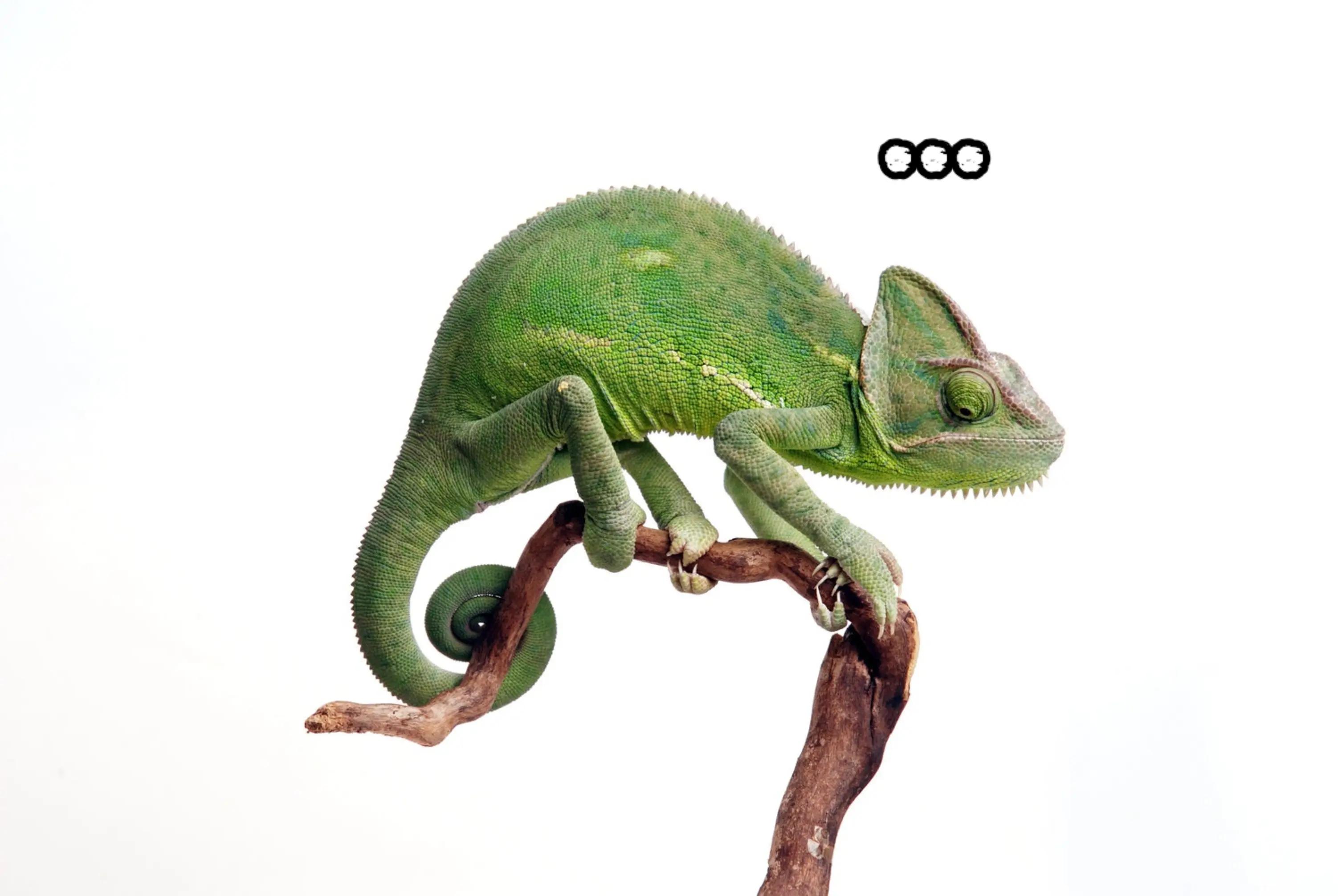 @𝗗𝗮𝗿𝗸
