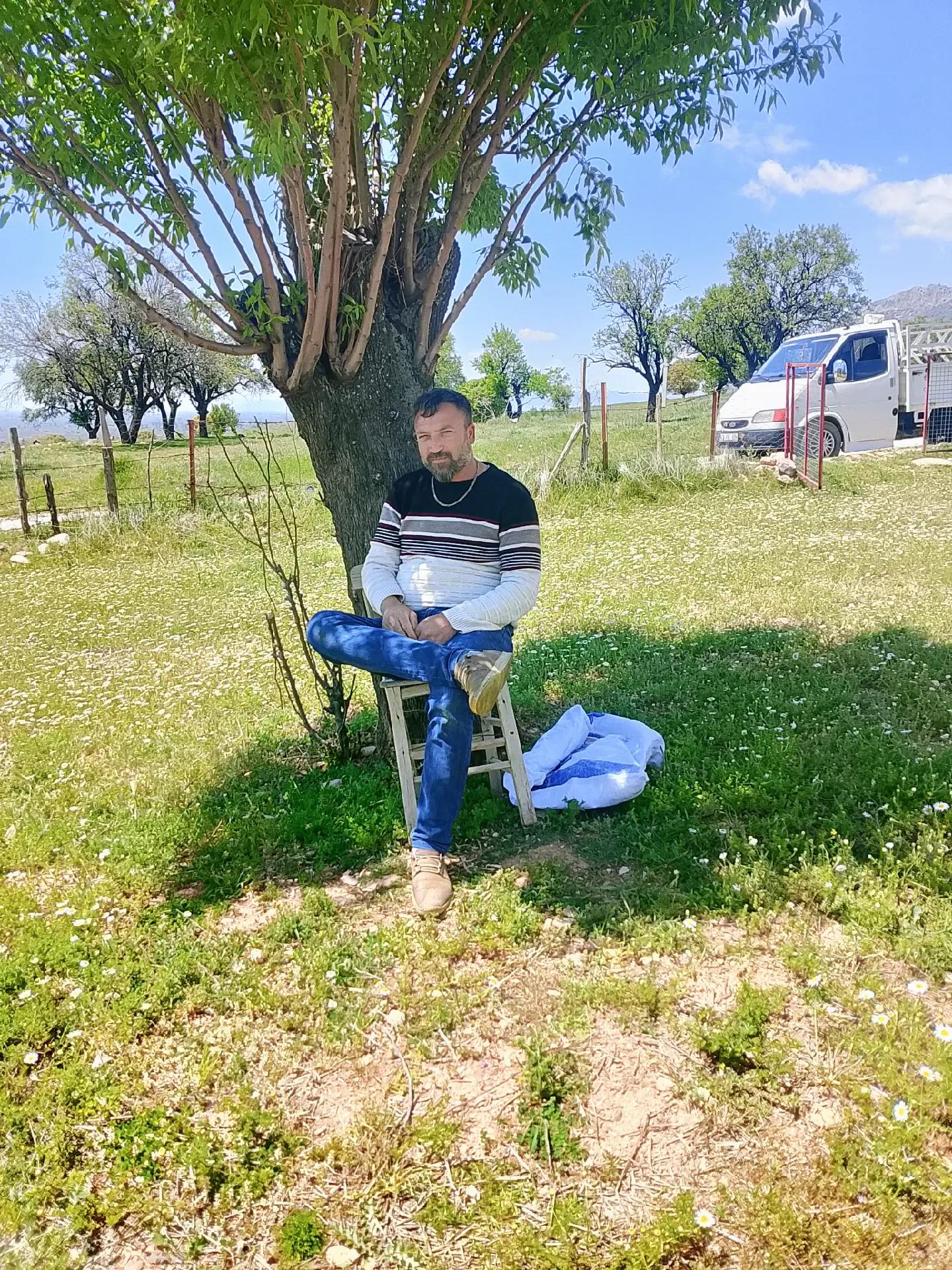 @sarı Kral