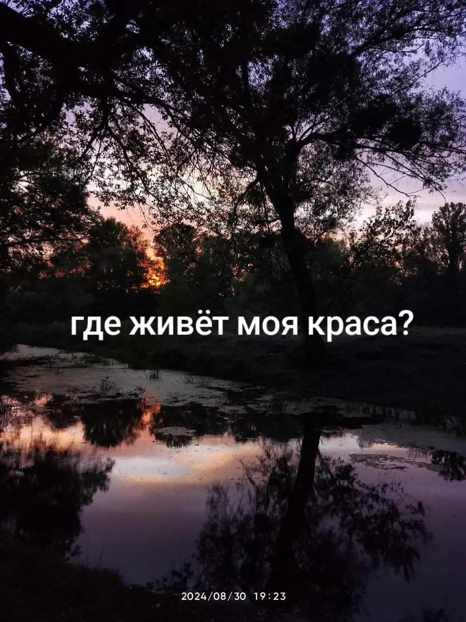 @AREEKOZ🖤