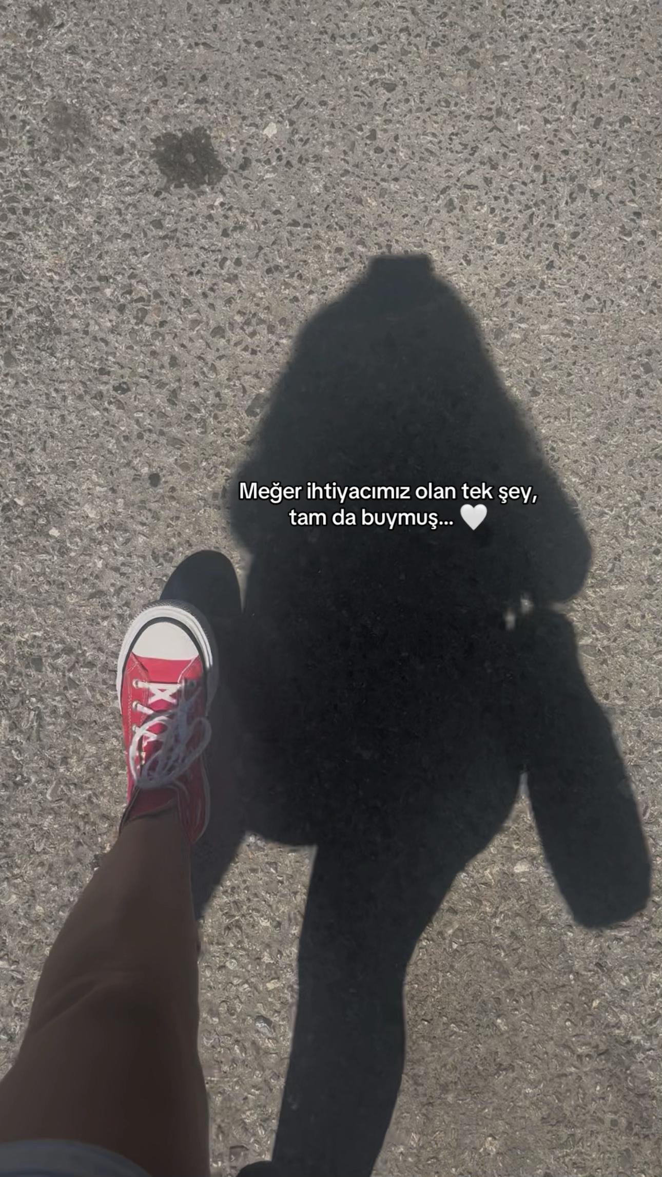 @ŞahMARan 🐍