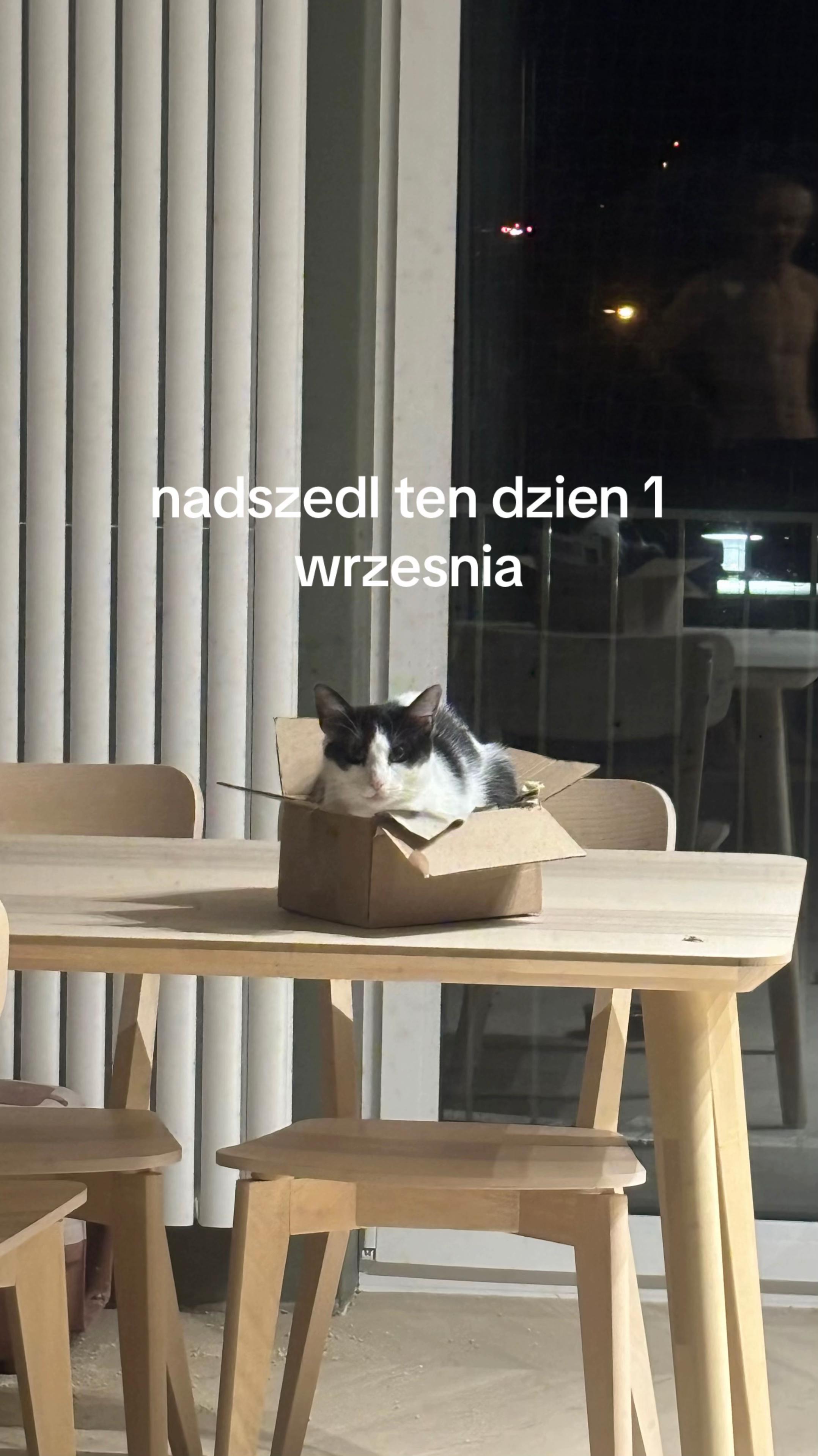 @cutlayki