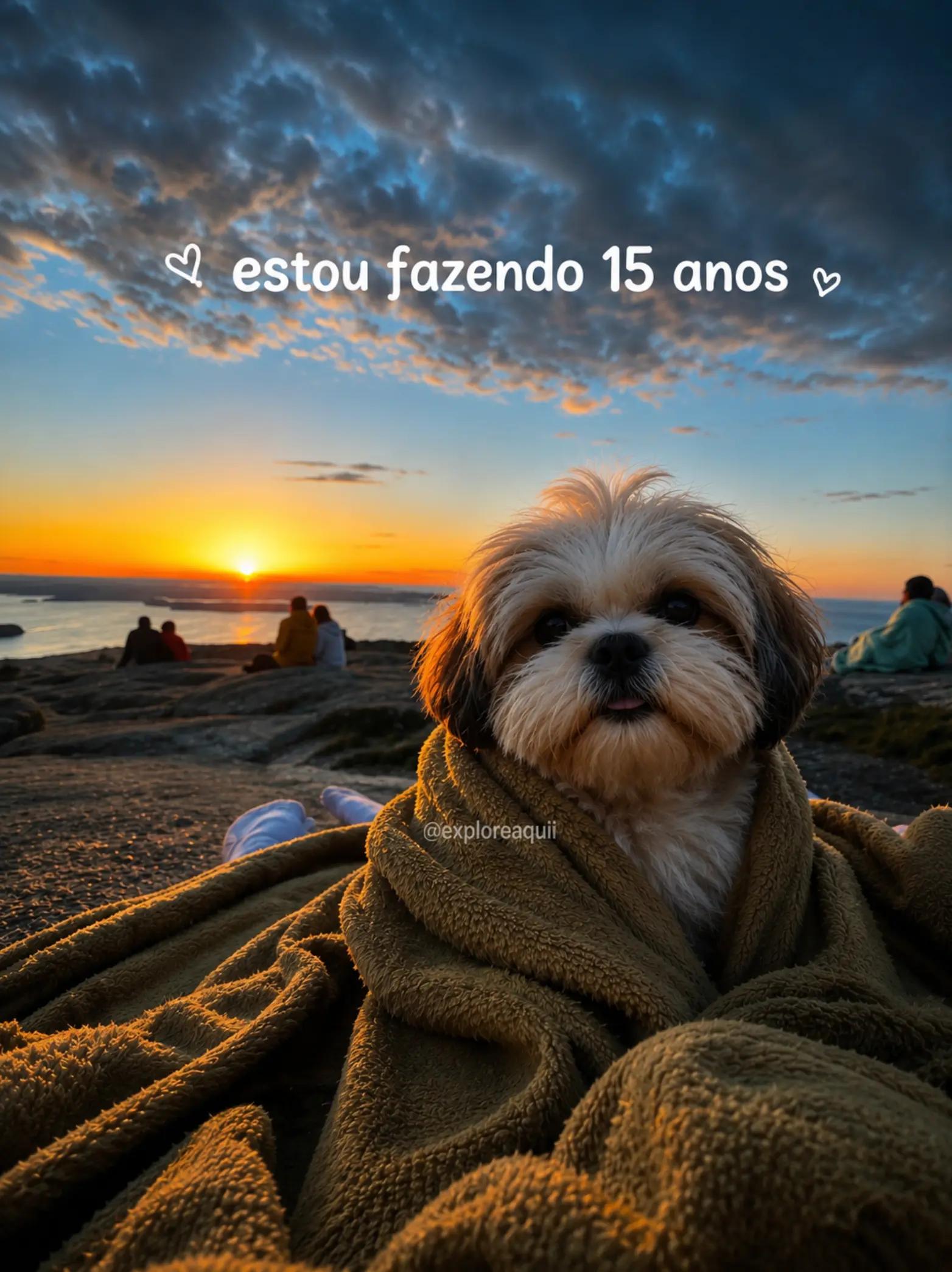 @Explore Aquii 🐾🐾✨️