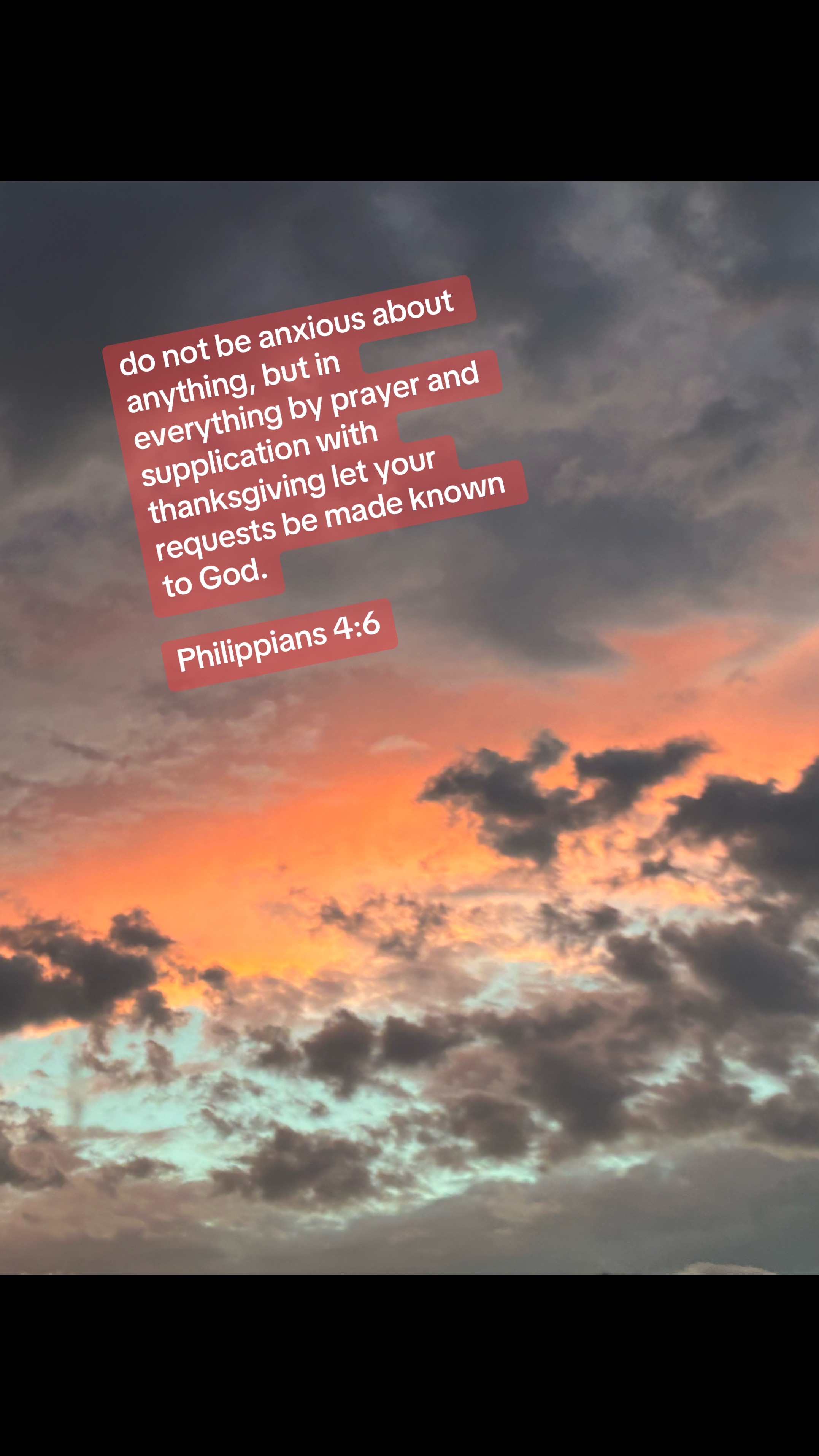 @forgiven_disciple