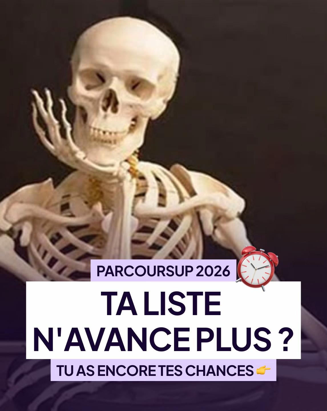 @Diplomeo