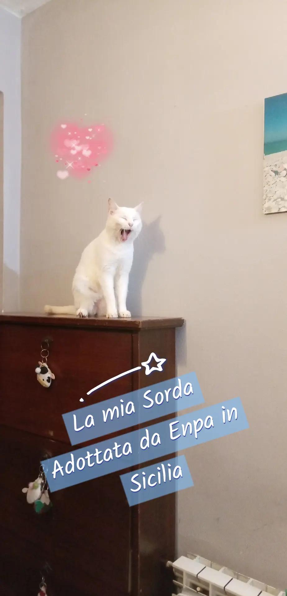 @Raffy si è rotta i........