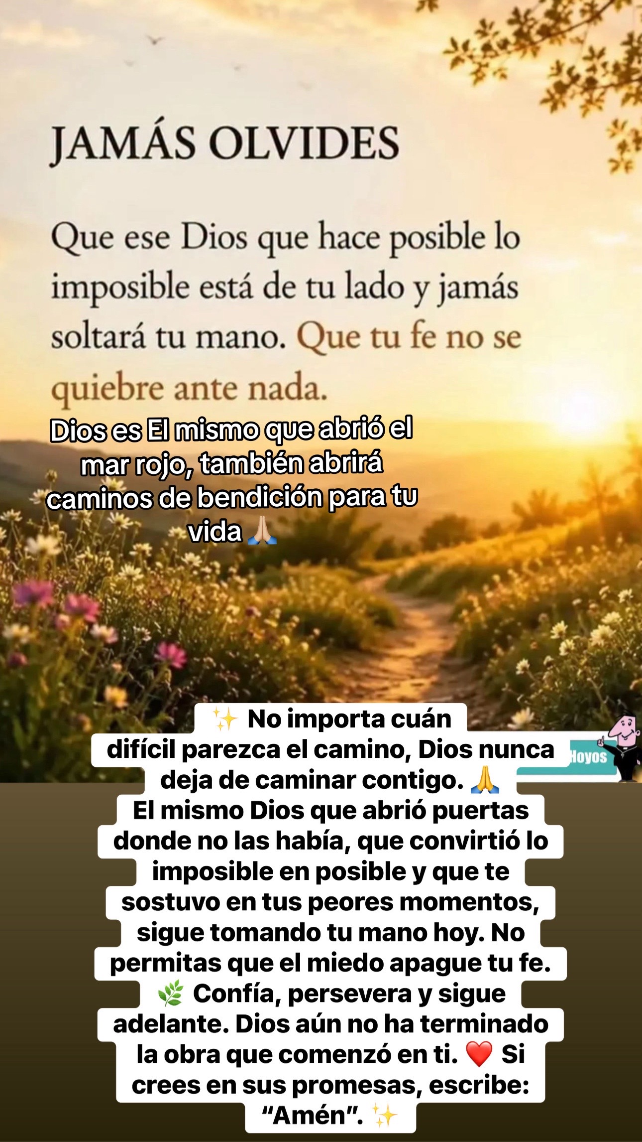 @Juanis 💜