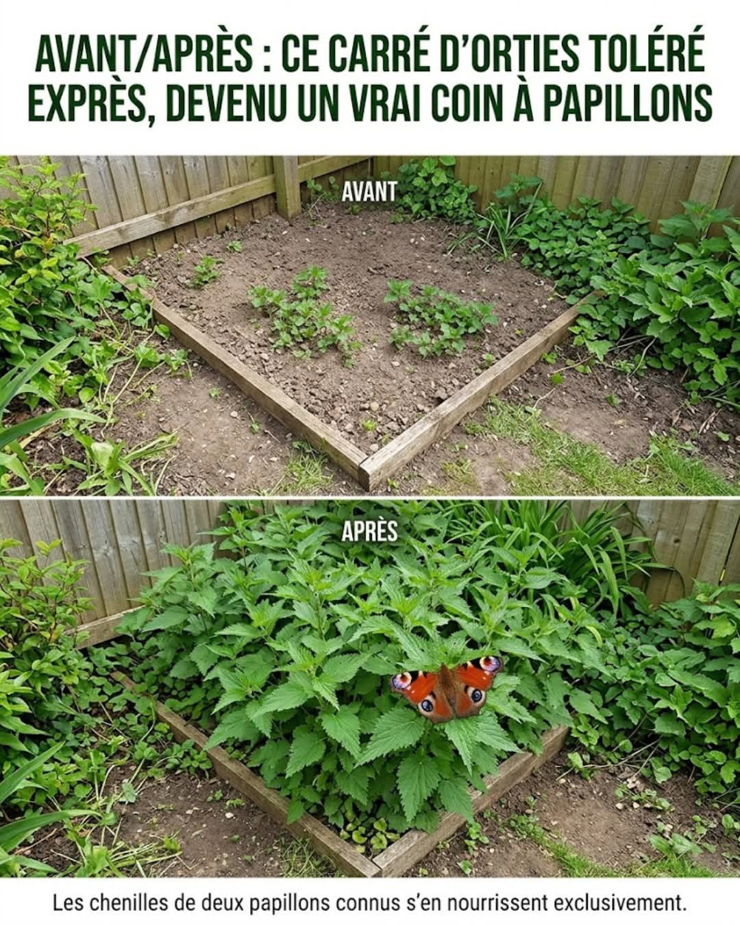 @L’Éphémère
