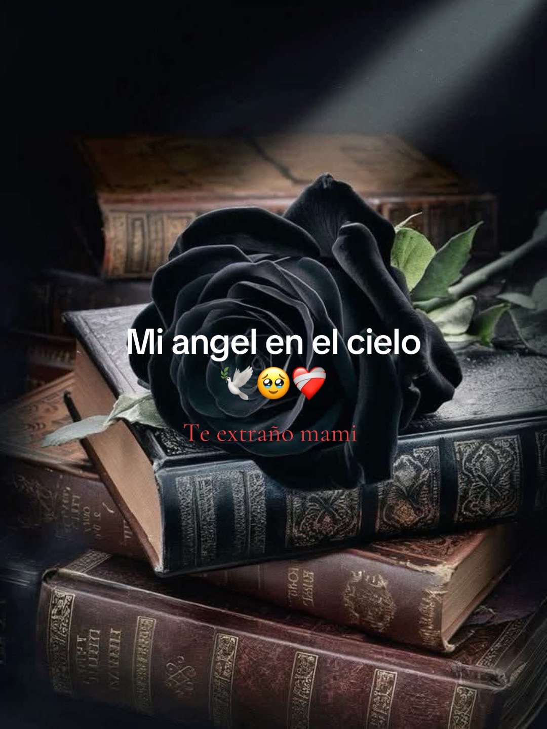 @Alessa❤️🇸🇻❤️