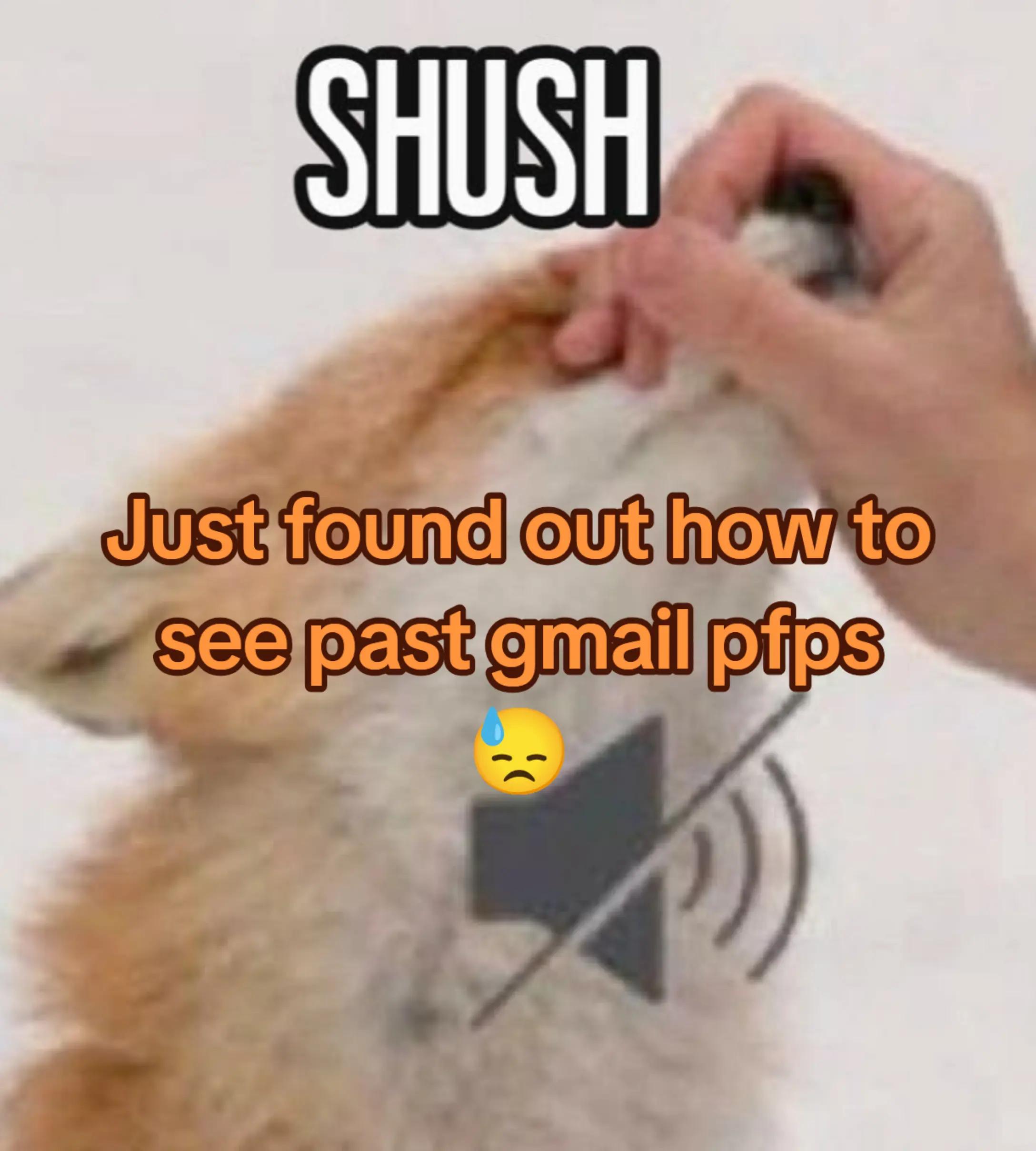 @๐๐ฆWill • Shark๐ฆ๐
