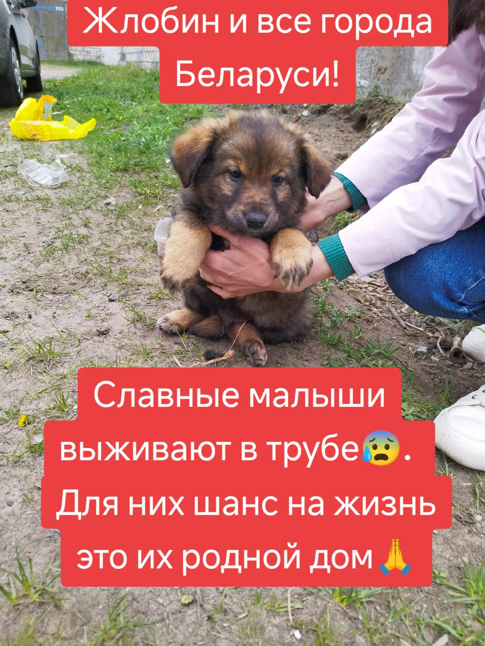 @Светлана Козлова