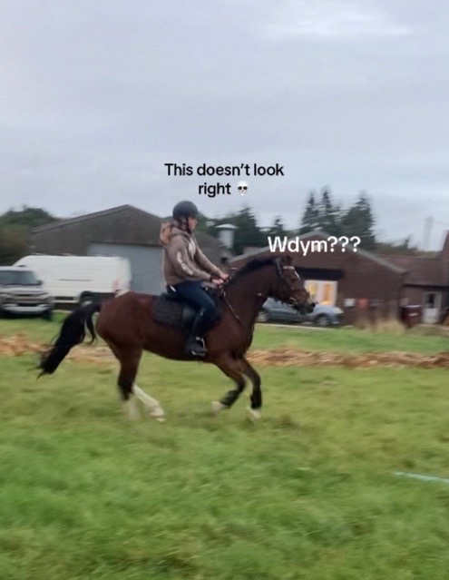 @🄱🄴🄰🄽🤎