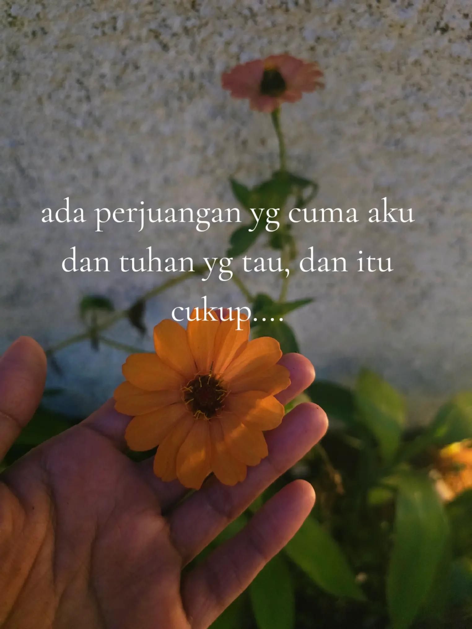 @nyimas cell