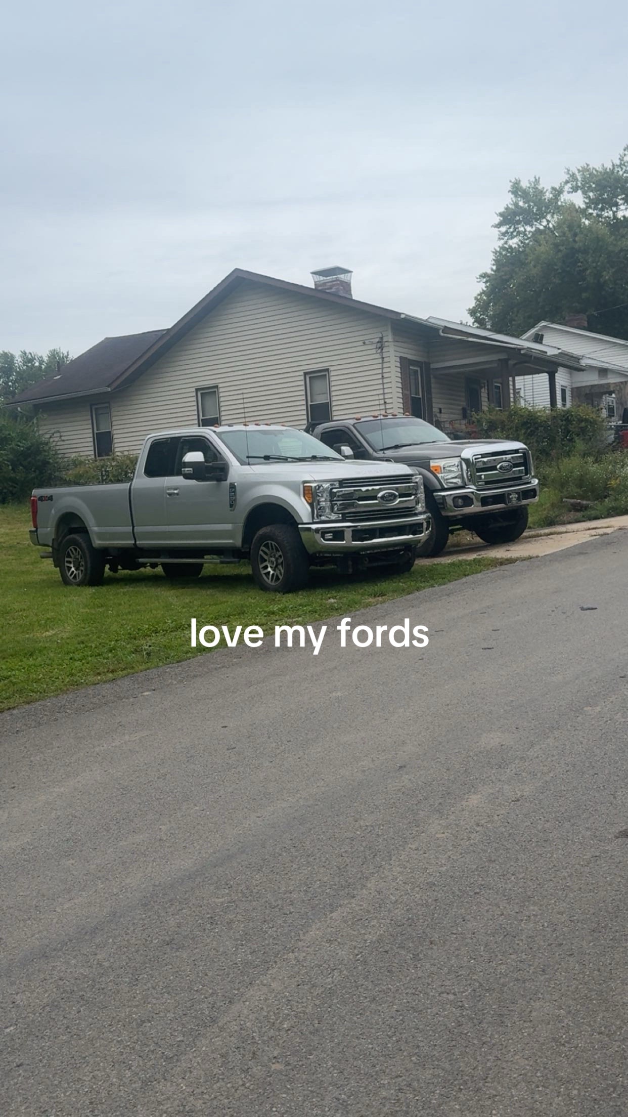 @Big_bad_brutus_11