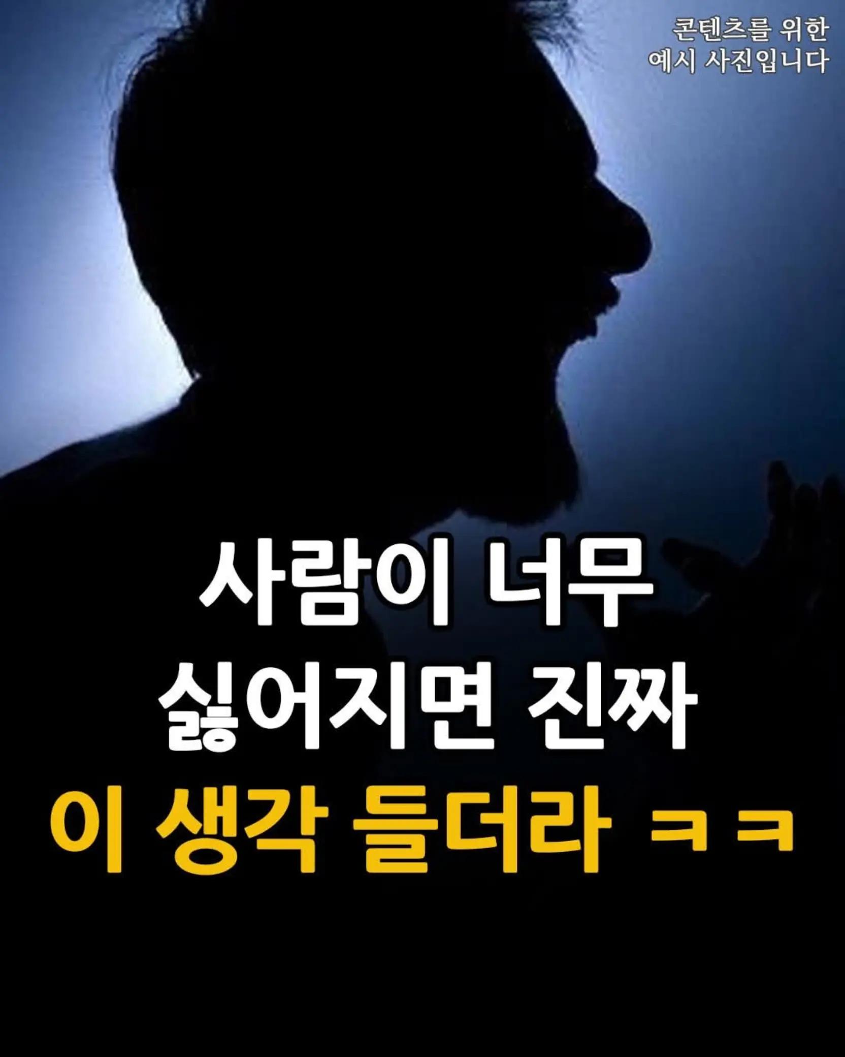 @@냥이글