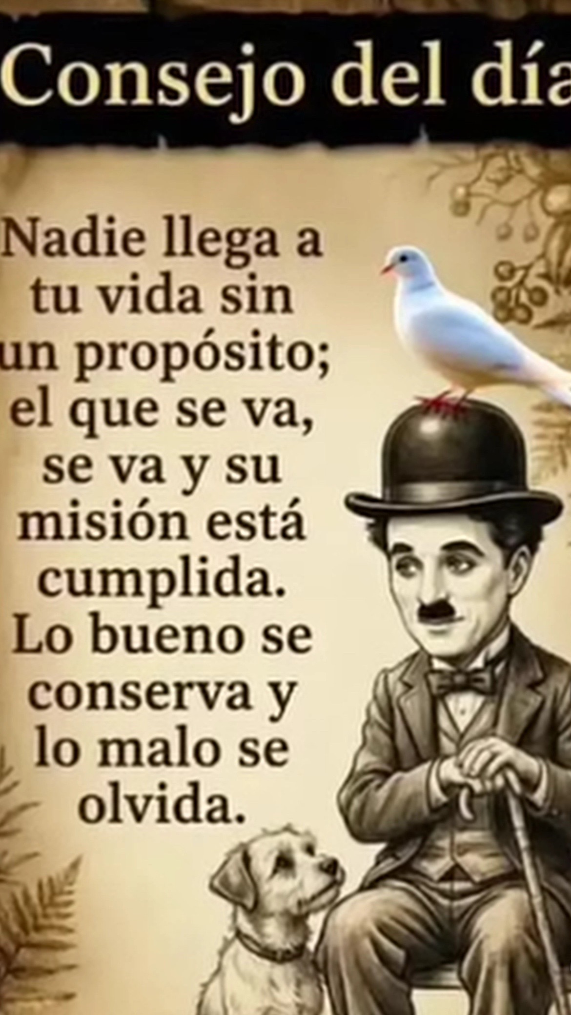 @Pedro Cruz
