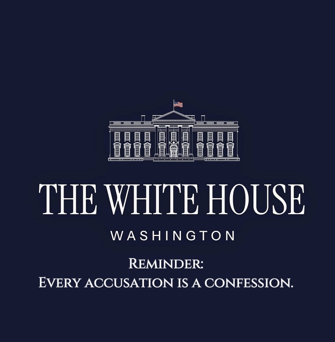 @useyourvoiceusa 🇺🇸