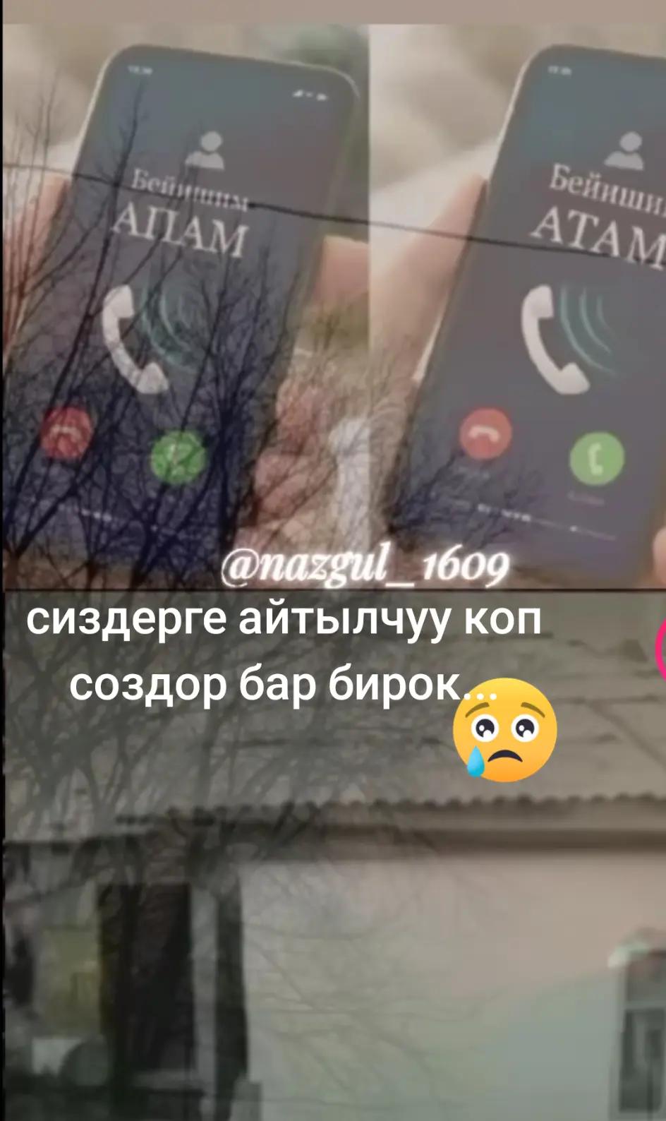 @Балтагулова