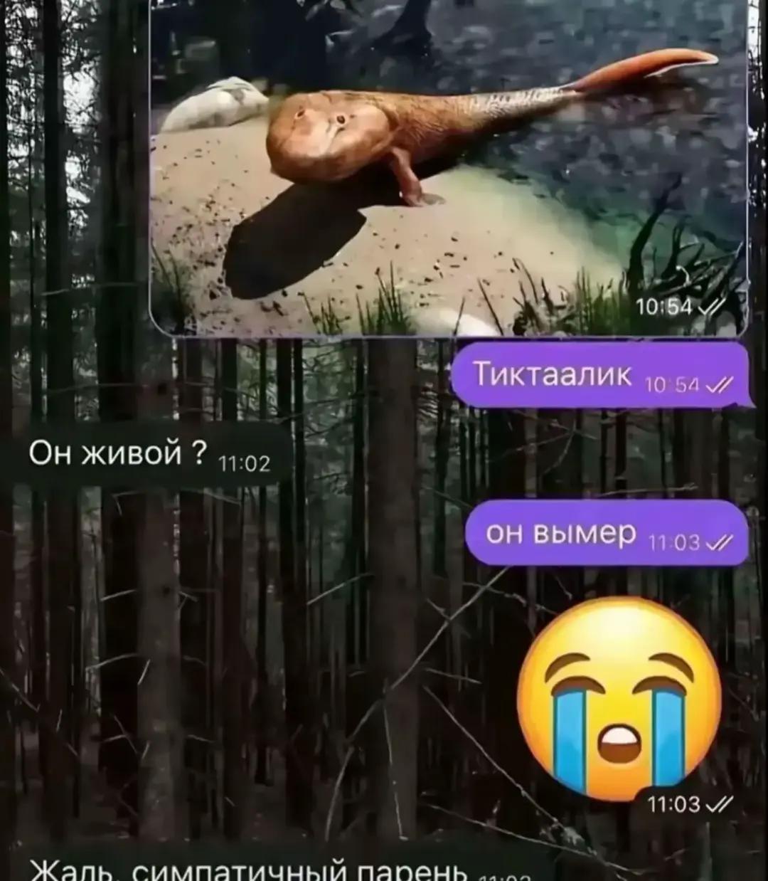 @Herofanter¹⁴¹