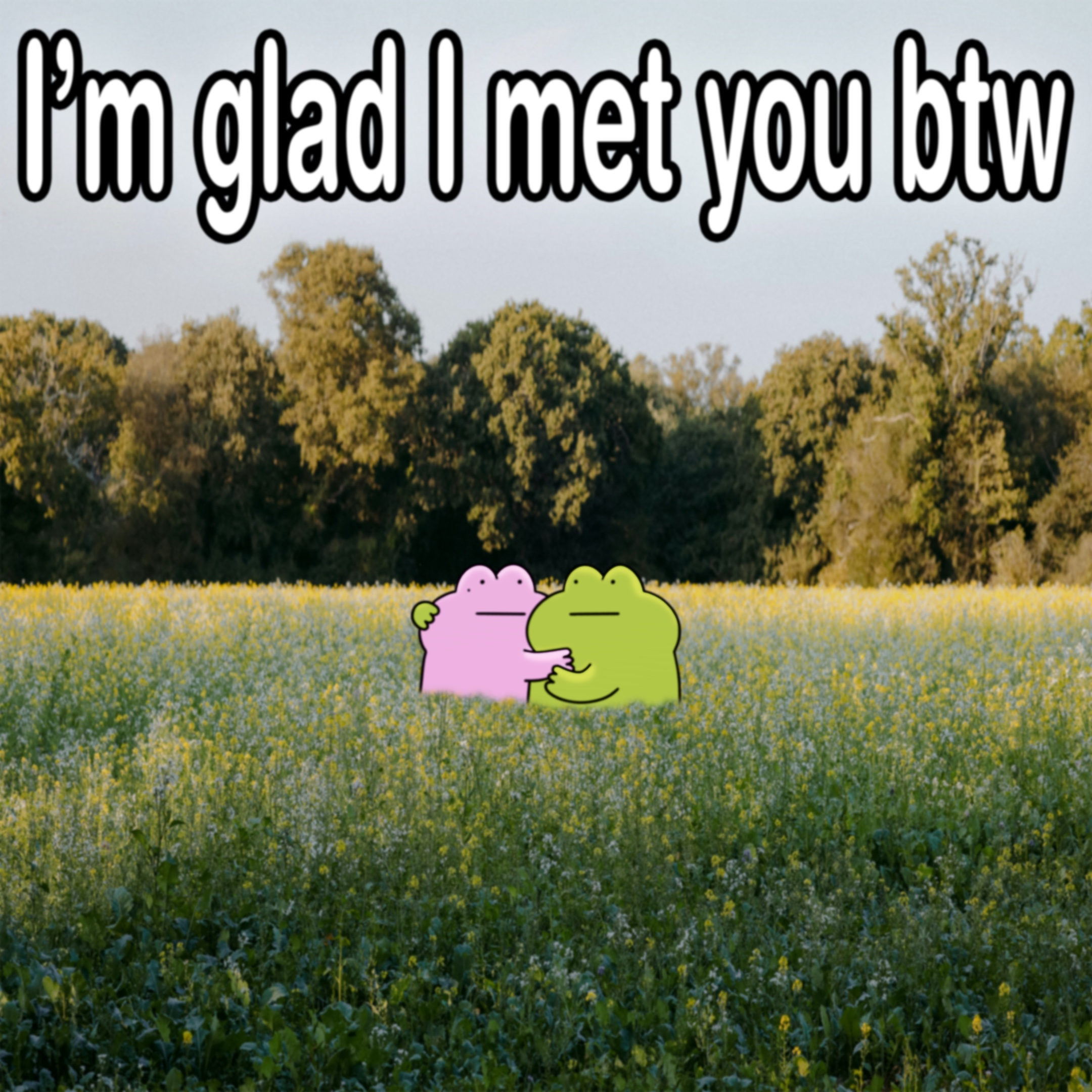 @RELATIONSHIP FROG