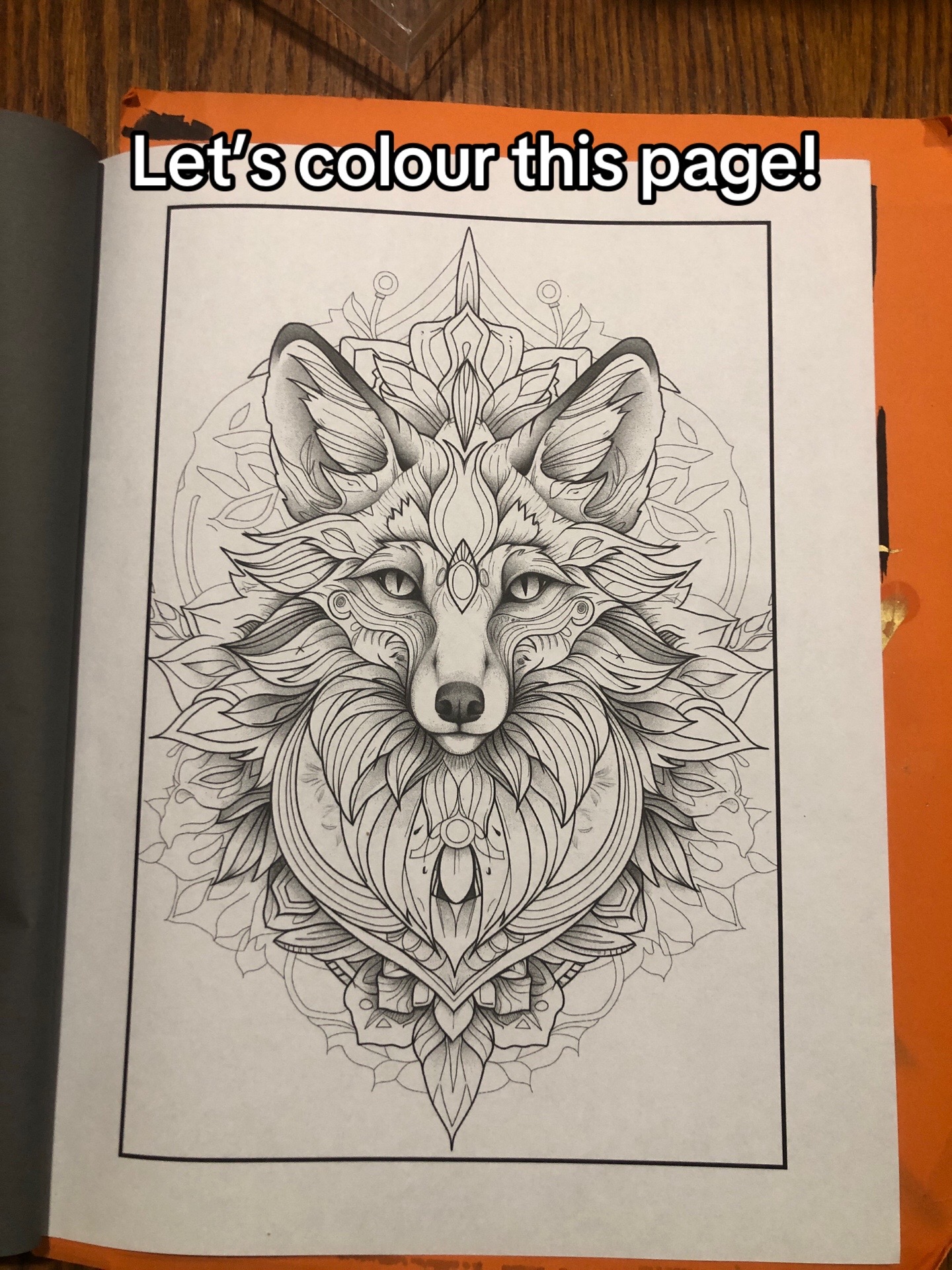 @ColourPopStudio